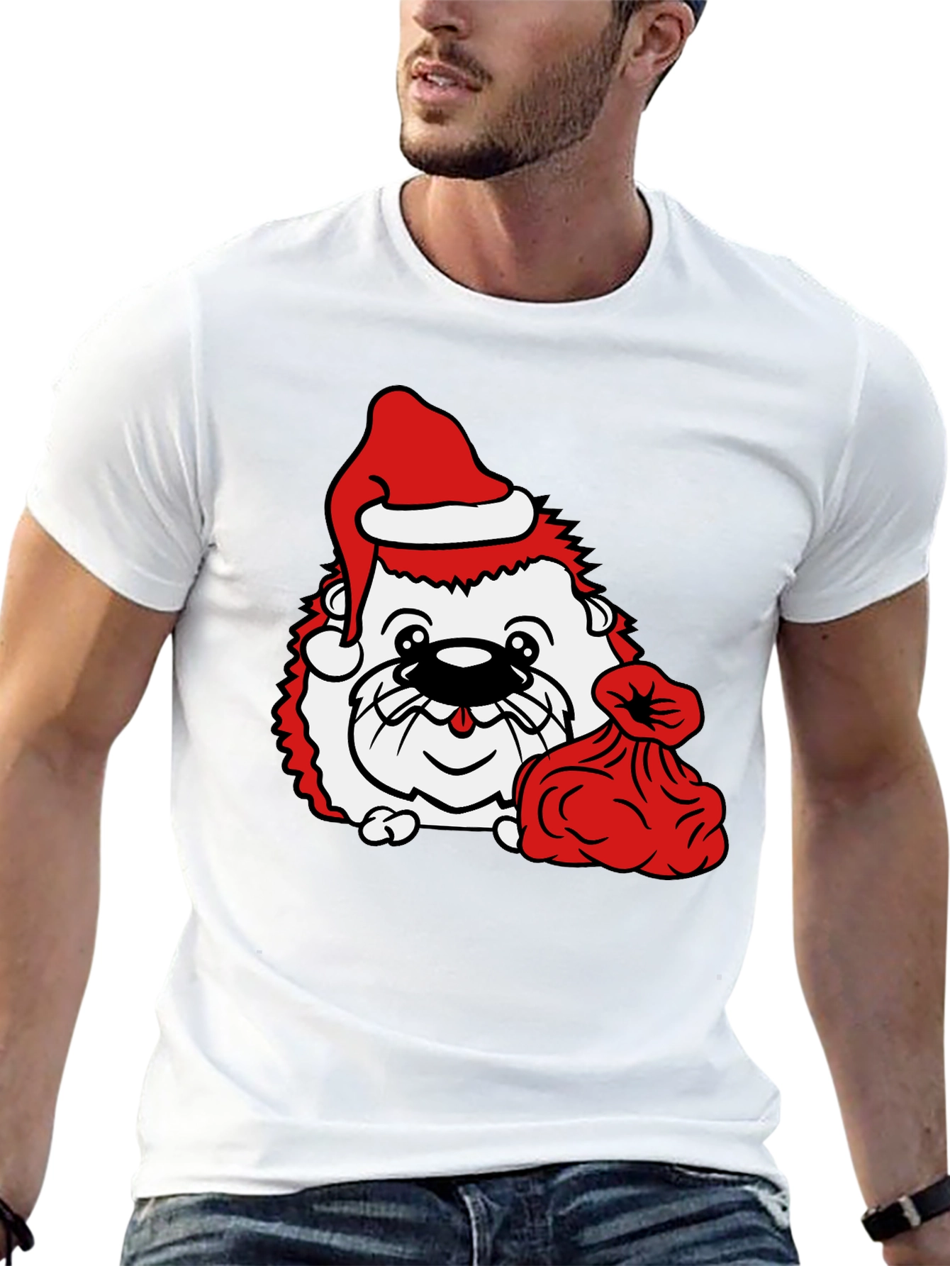 Festive Hedgehog T-Shirt