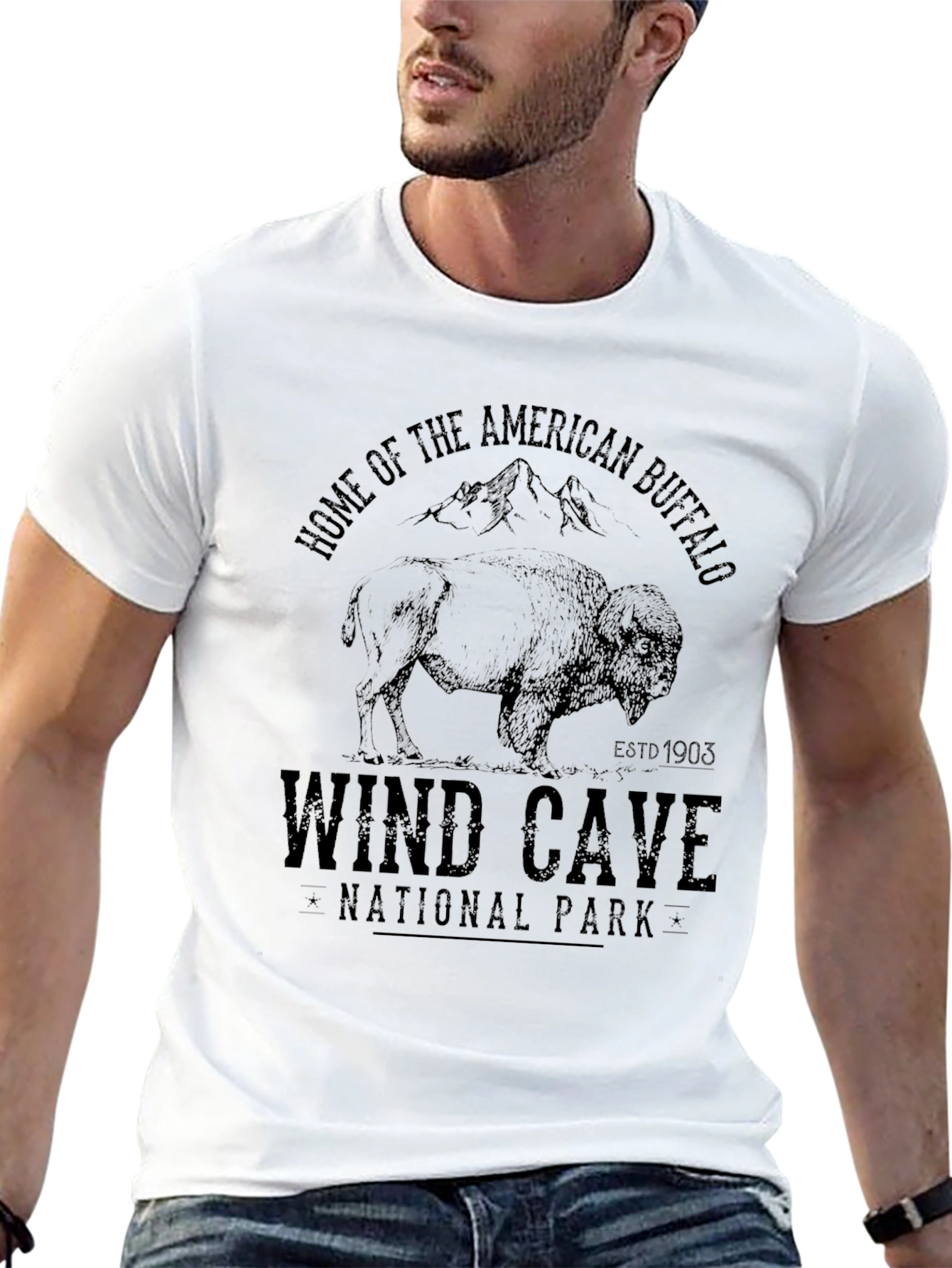 Wind Cave National Park Buffalo Graphic Tee