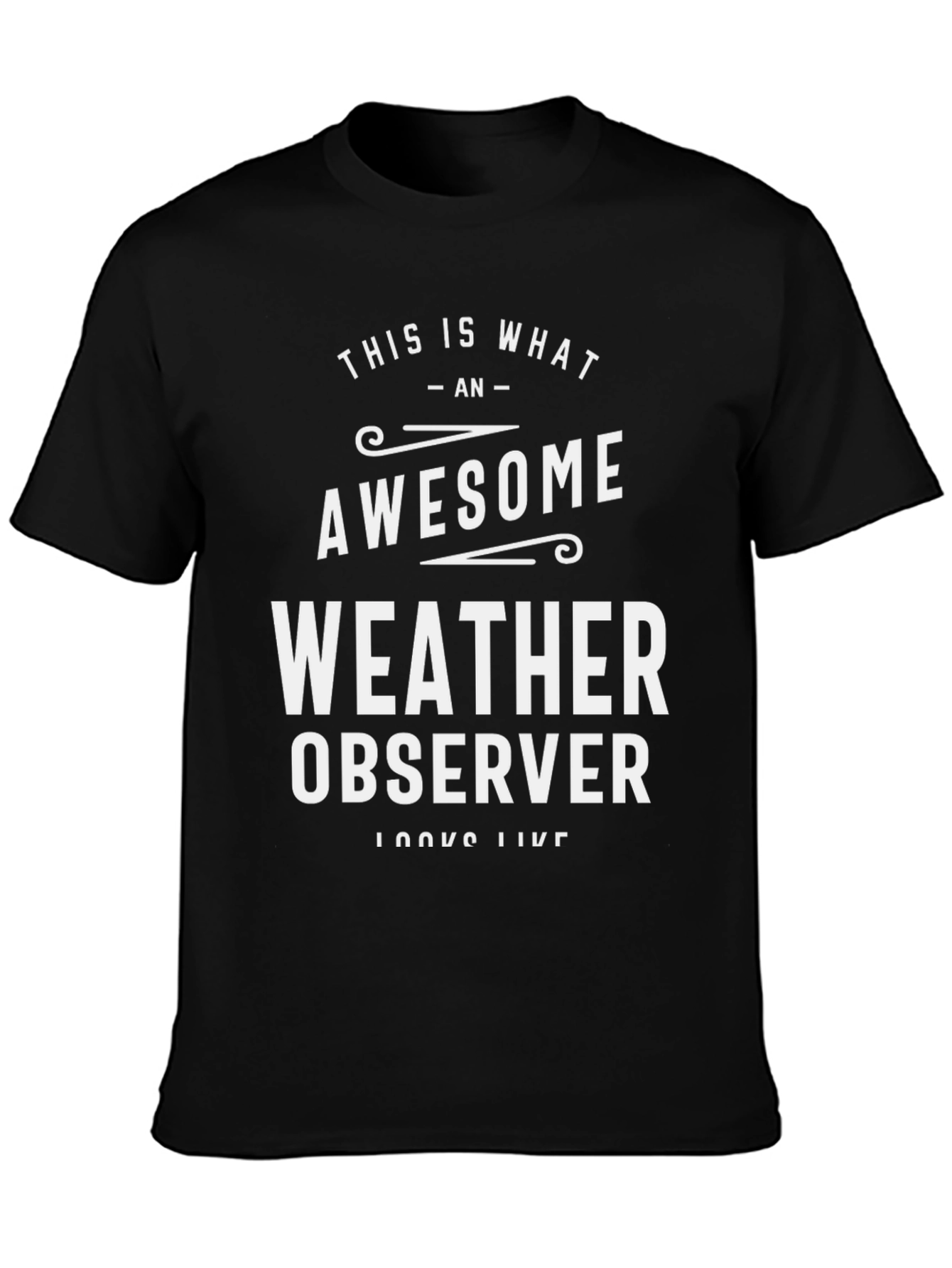 Awesome Weather Observer T-Shirt - Black Crew Neck Tee
