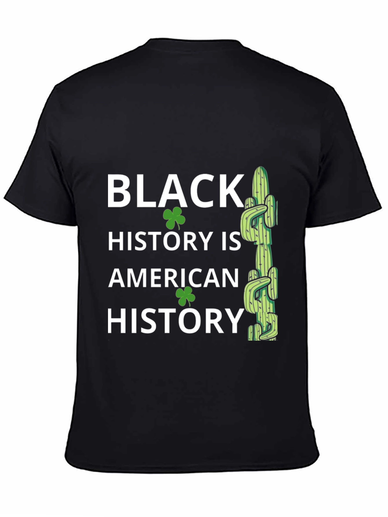 Black History is American History T-Shirt
