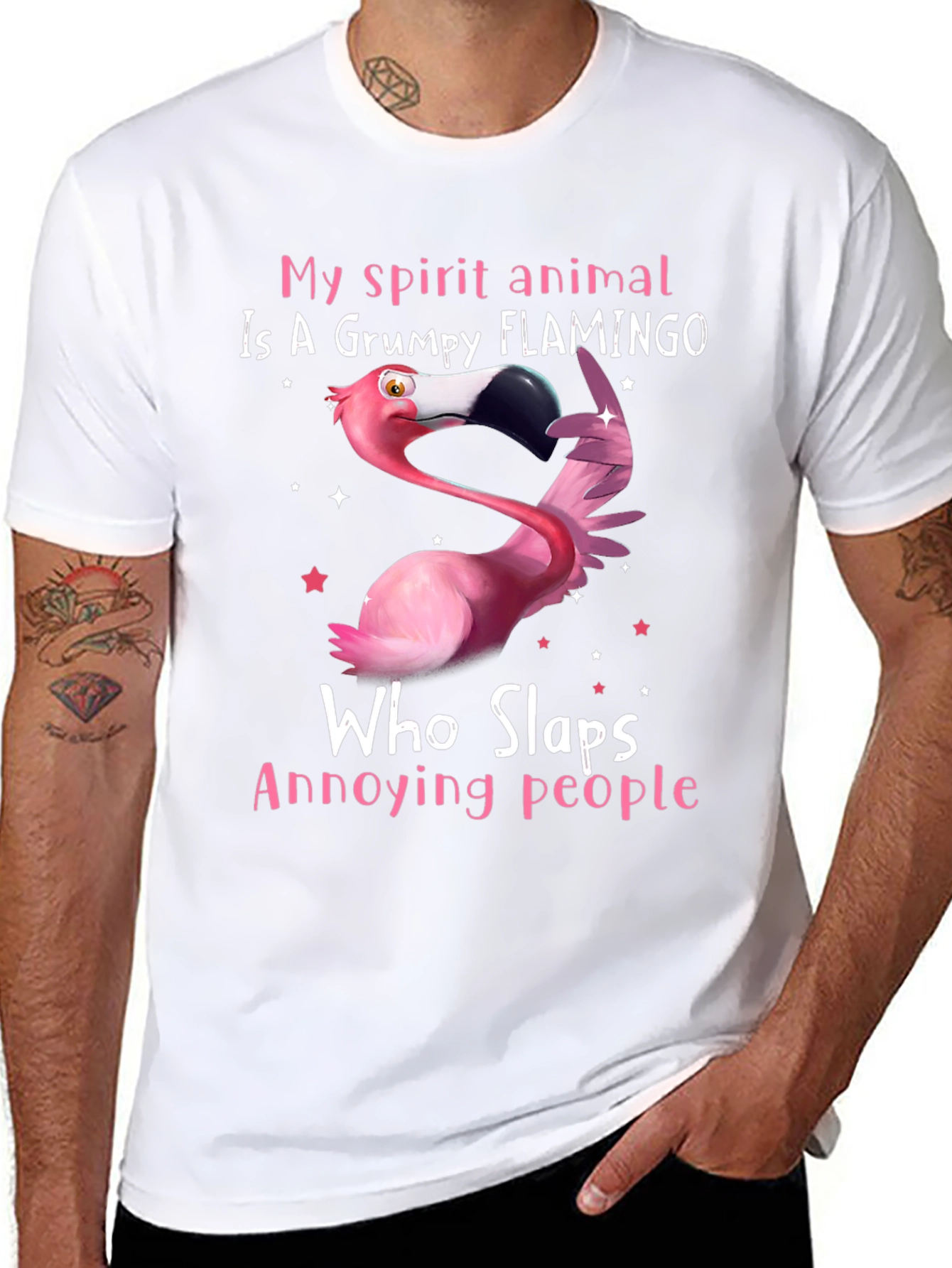 Grumpy Flamingo T-Shirt - Slaps Annoying People