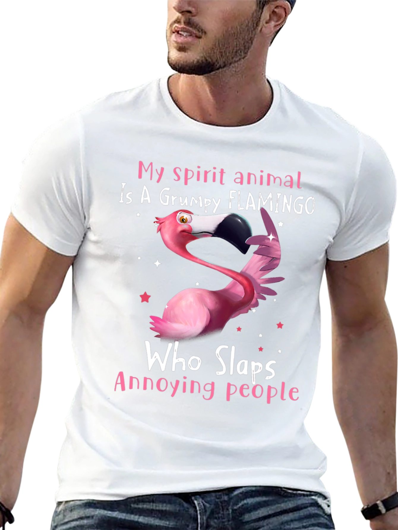 Grumpy Flamingo T-Shirt - Slaps Annoying People