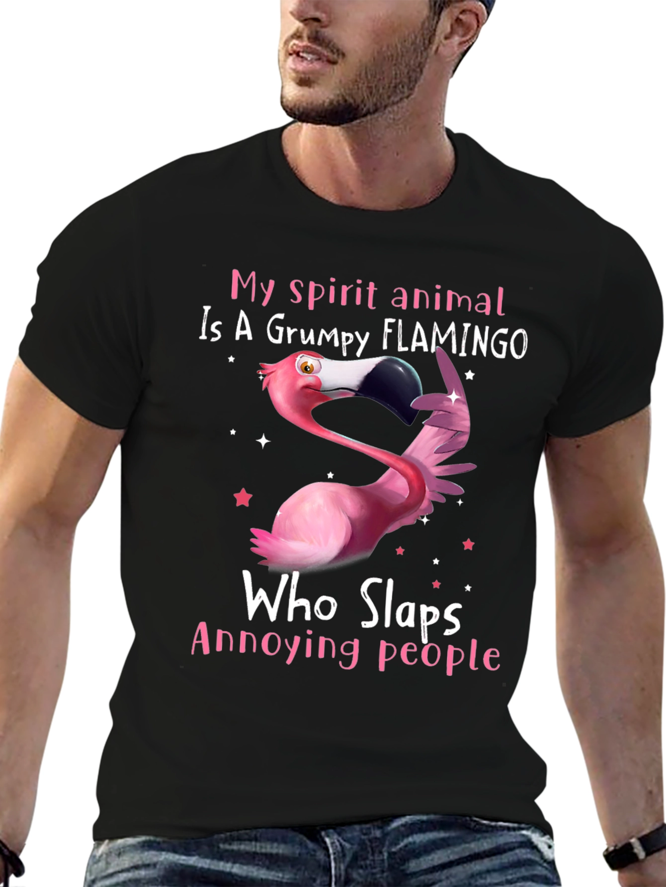 Grumpy Flamingo T-Shirt - Slaps Annoying People