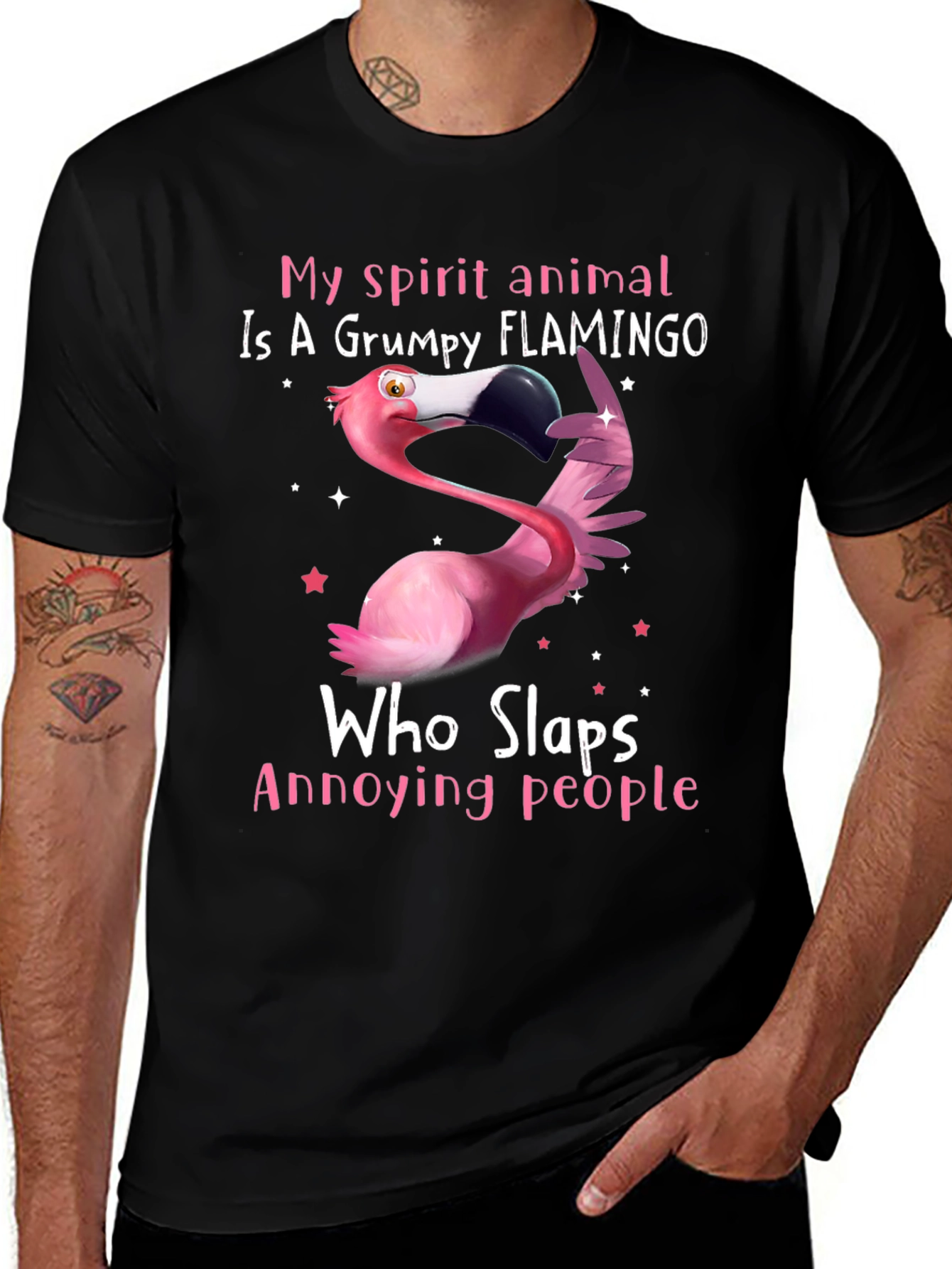 Grumpy Flamingo T-Shirt - Slaps Annoying People