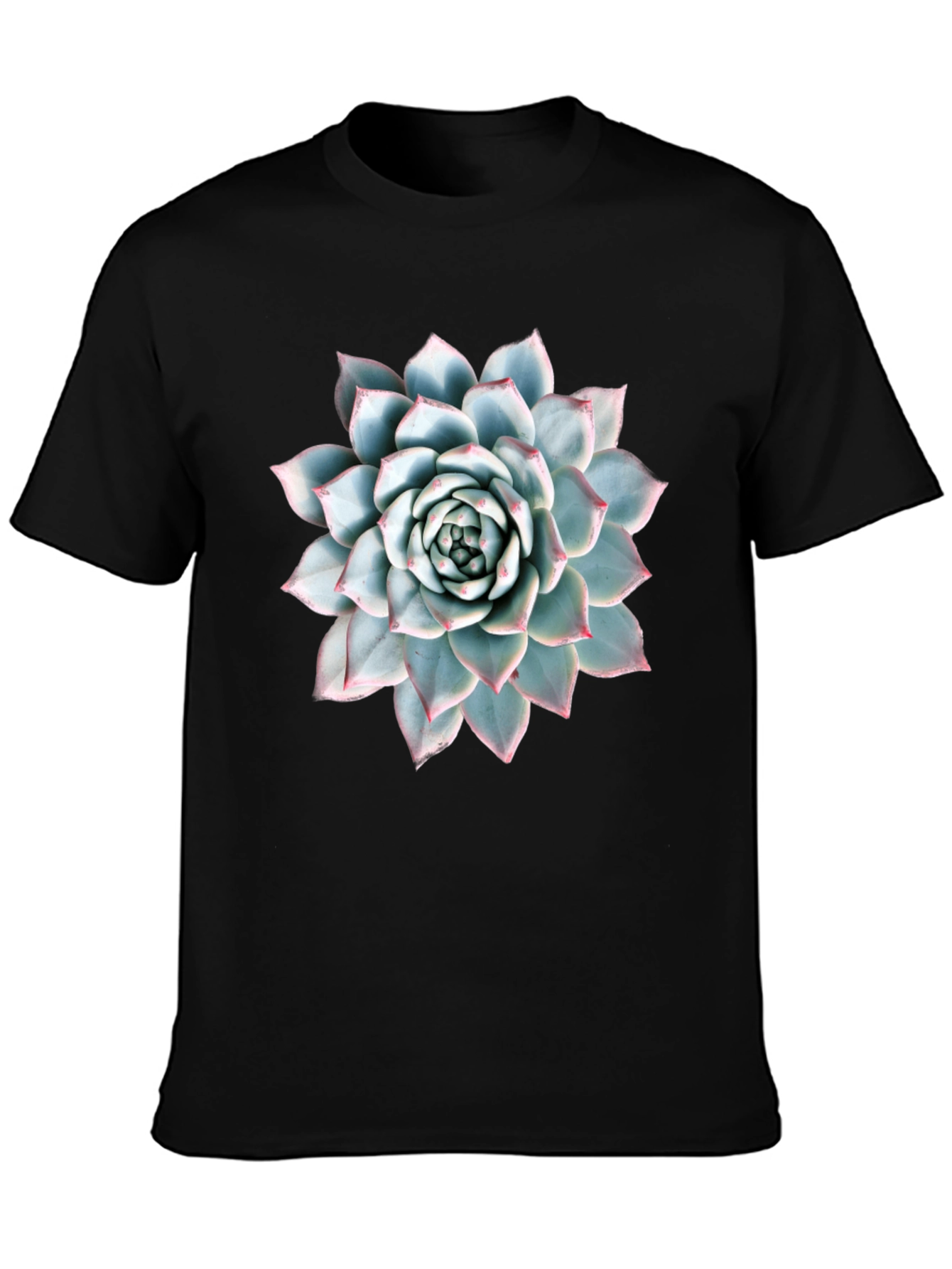 Succulent Plant Graphic Tee - Modern Nature Lover Shirt
