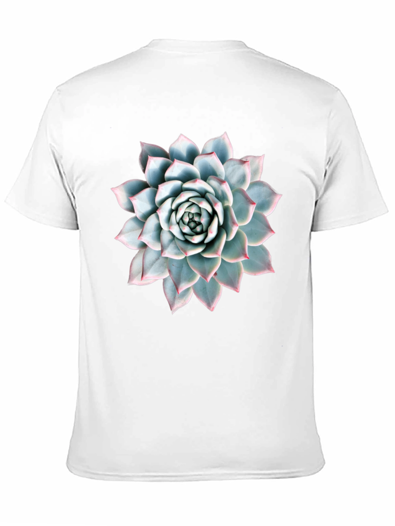 Succulent Plant Graphic Tee - Modern Nature Lover Shirt