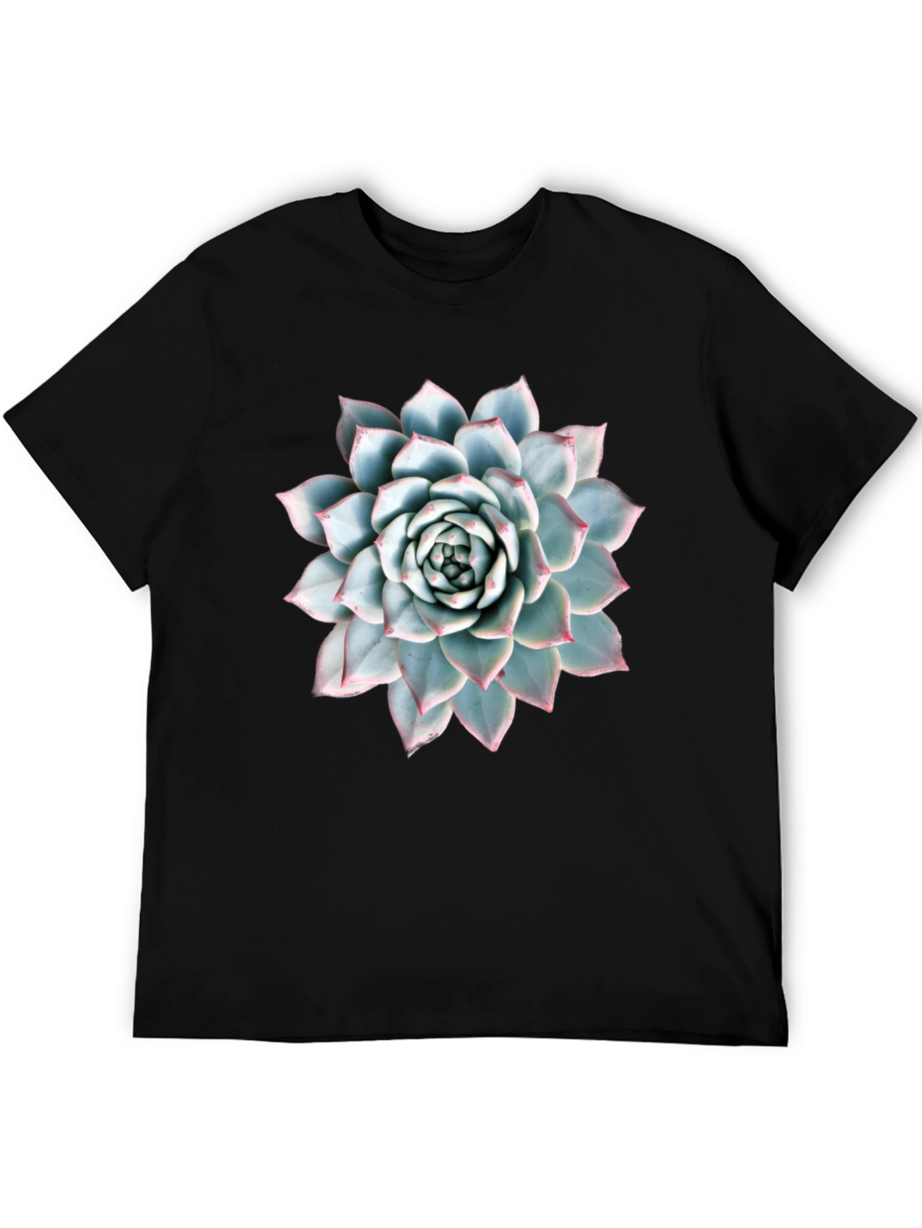Succulent Plant Graphic Tee - Modern Nature Lover Shirt