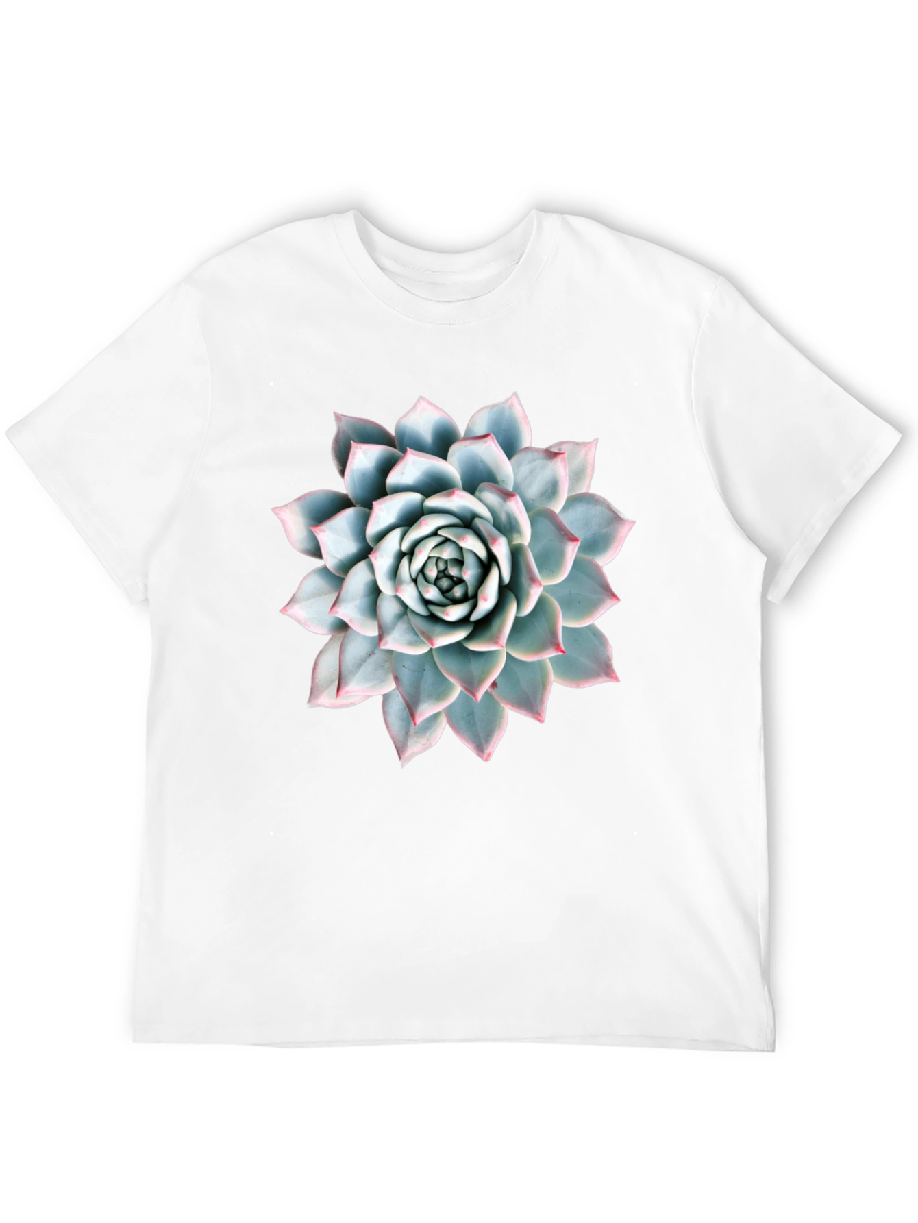Succulent Plant Graphic Tee - Modern Nature Lover Shirt