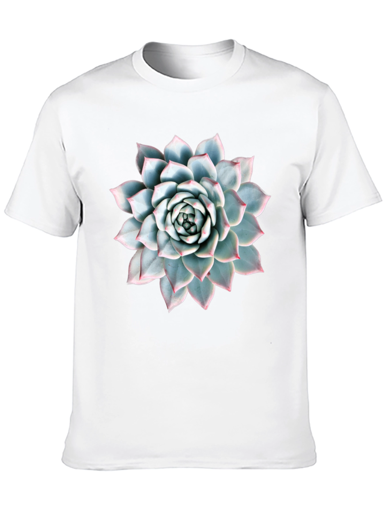 Succulent Plant Graphic Tee - Modern Nature Lover Shirt