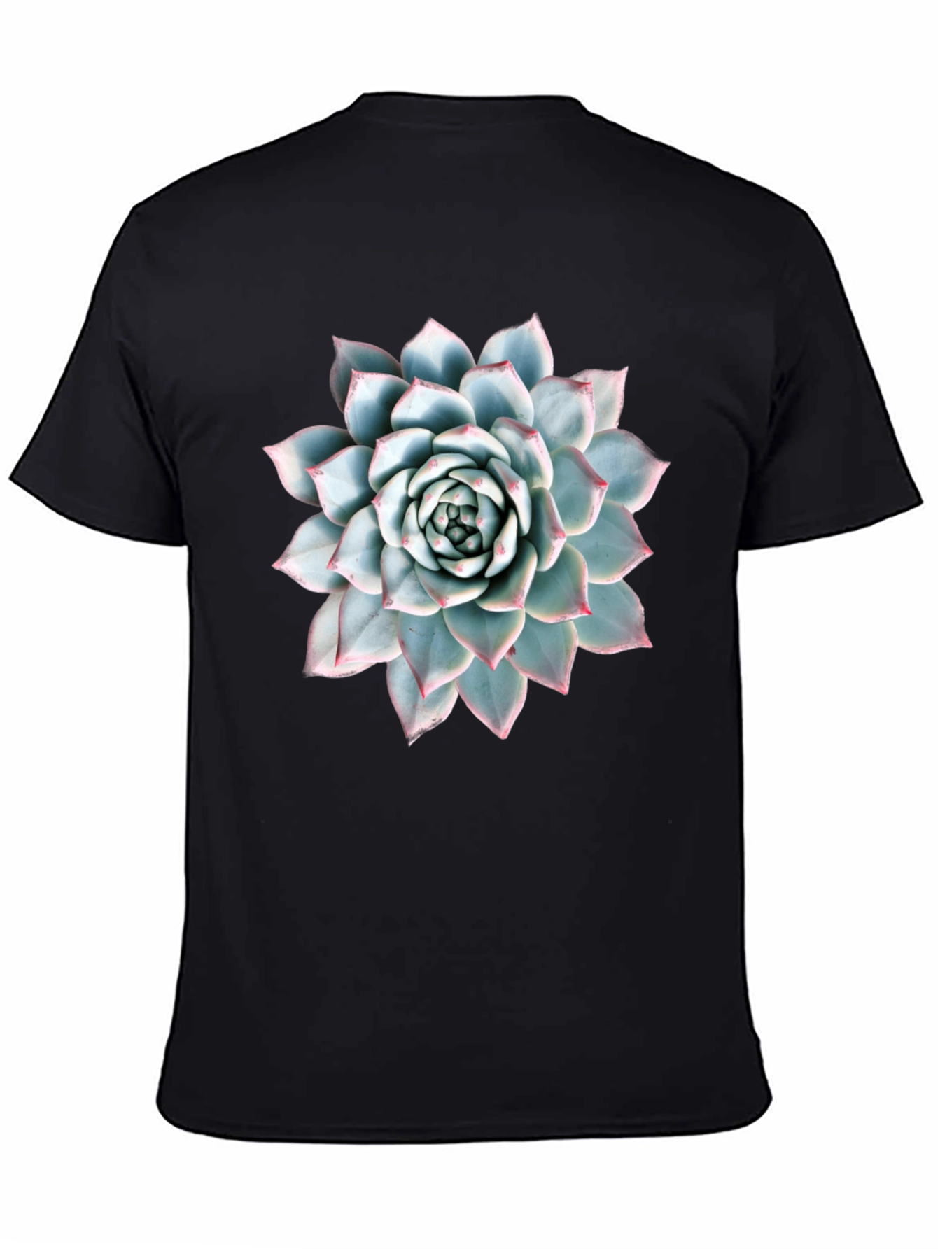 Succulent Plant Graphic Tee - Modern Nature Lover Shirt