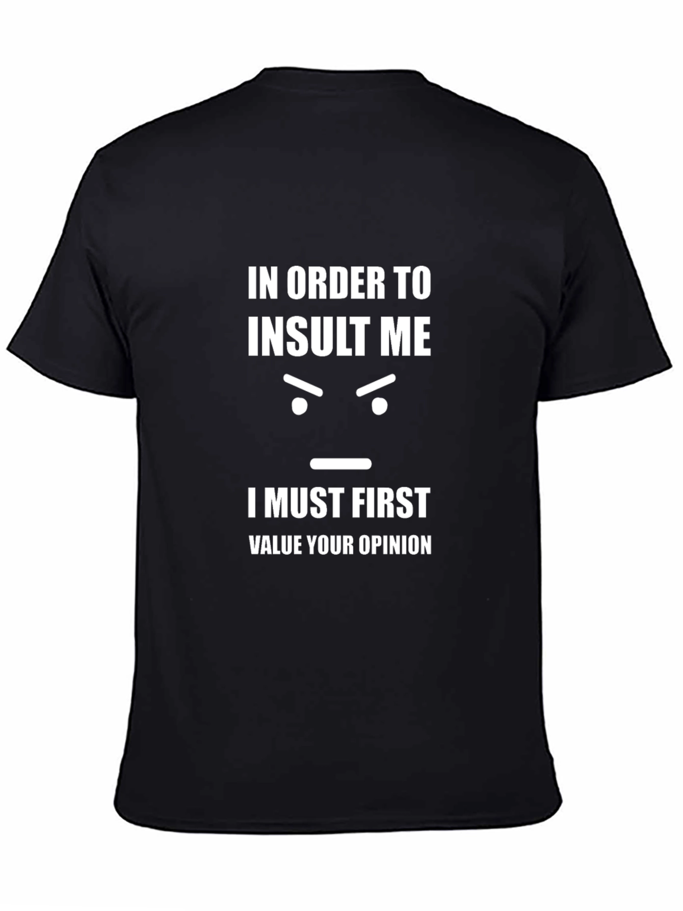 Funny Sarcastic T-Shirt: Insult Me