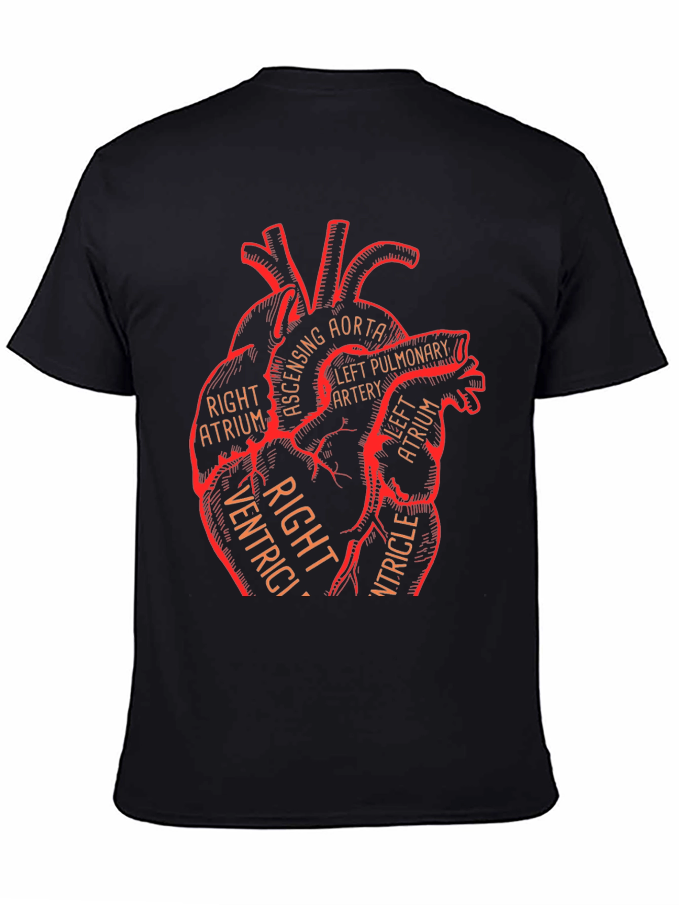 Anatomical Heart Graphic Tee - Medical Science T-Shirt