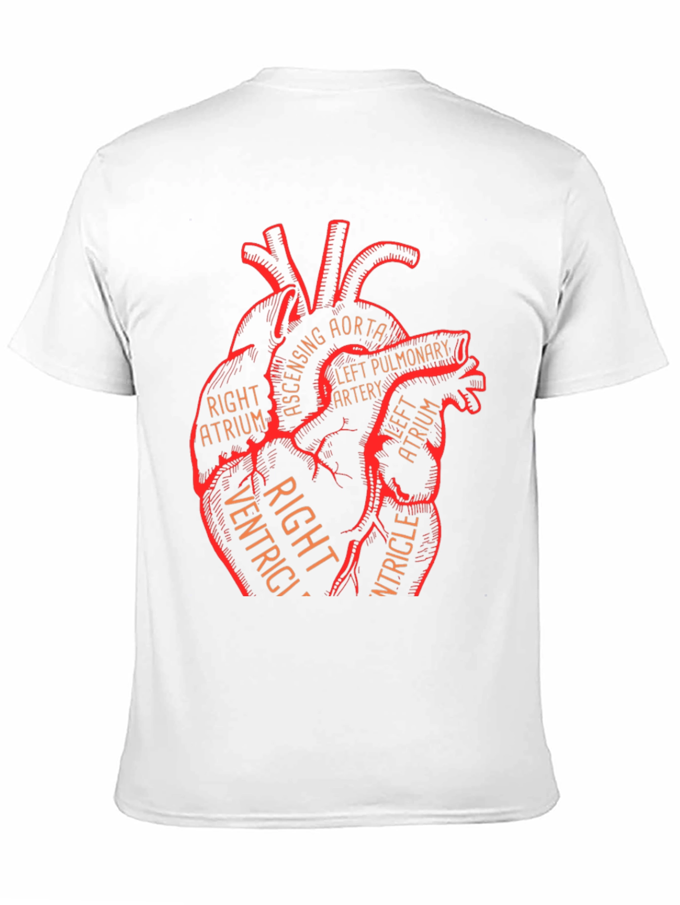 Anatomical Heart Graphic Tee - Medical Science T-Shirt