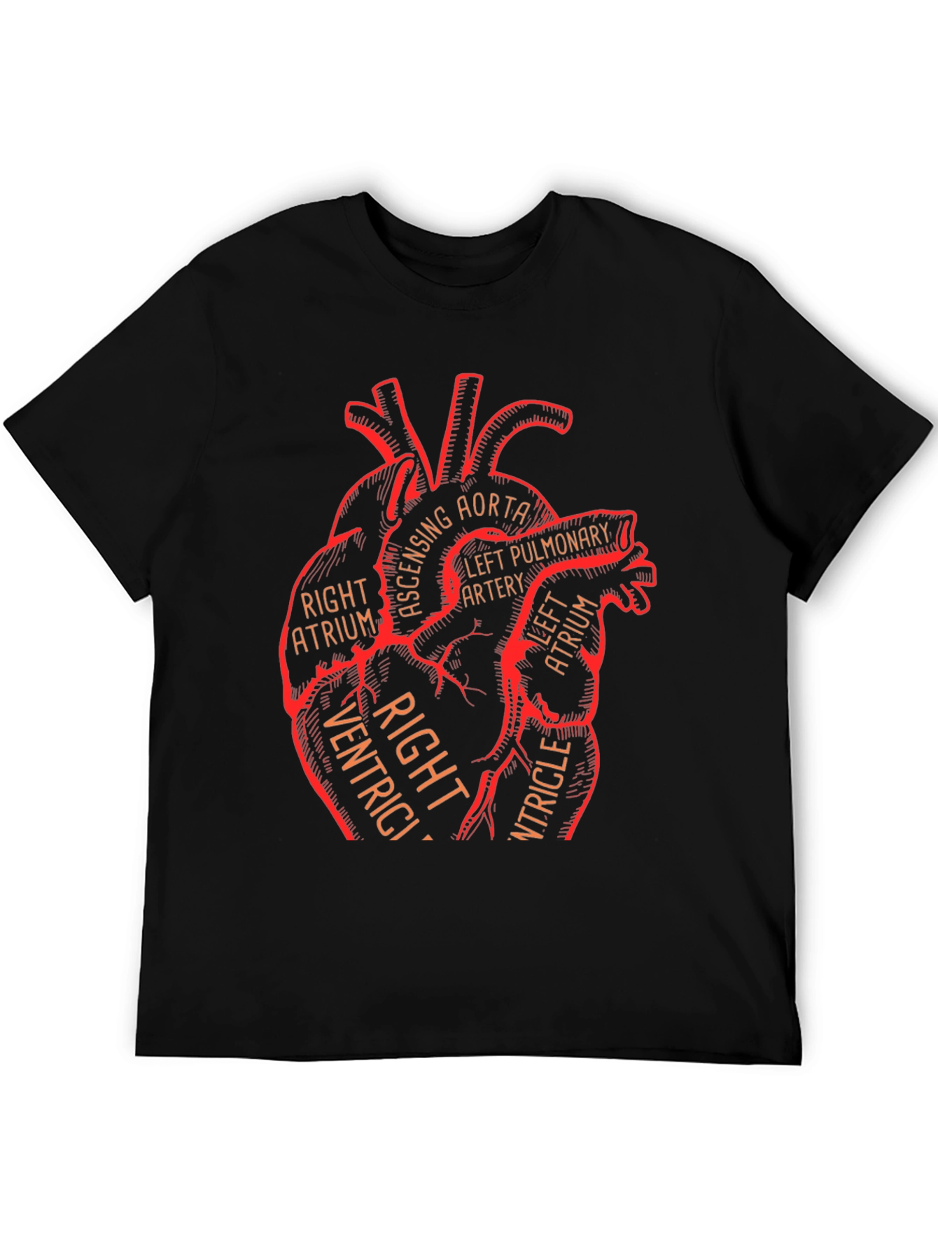 Anatomical Heart Graphic Tee - Medical Science T-Shirt