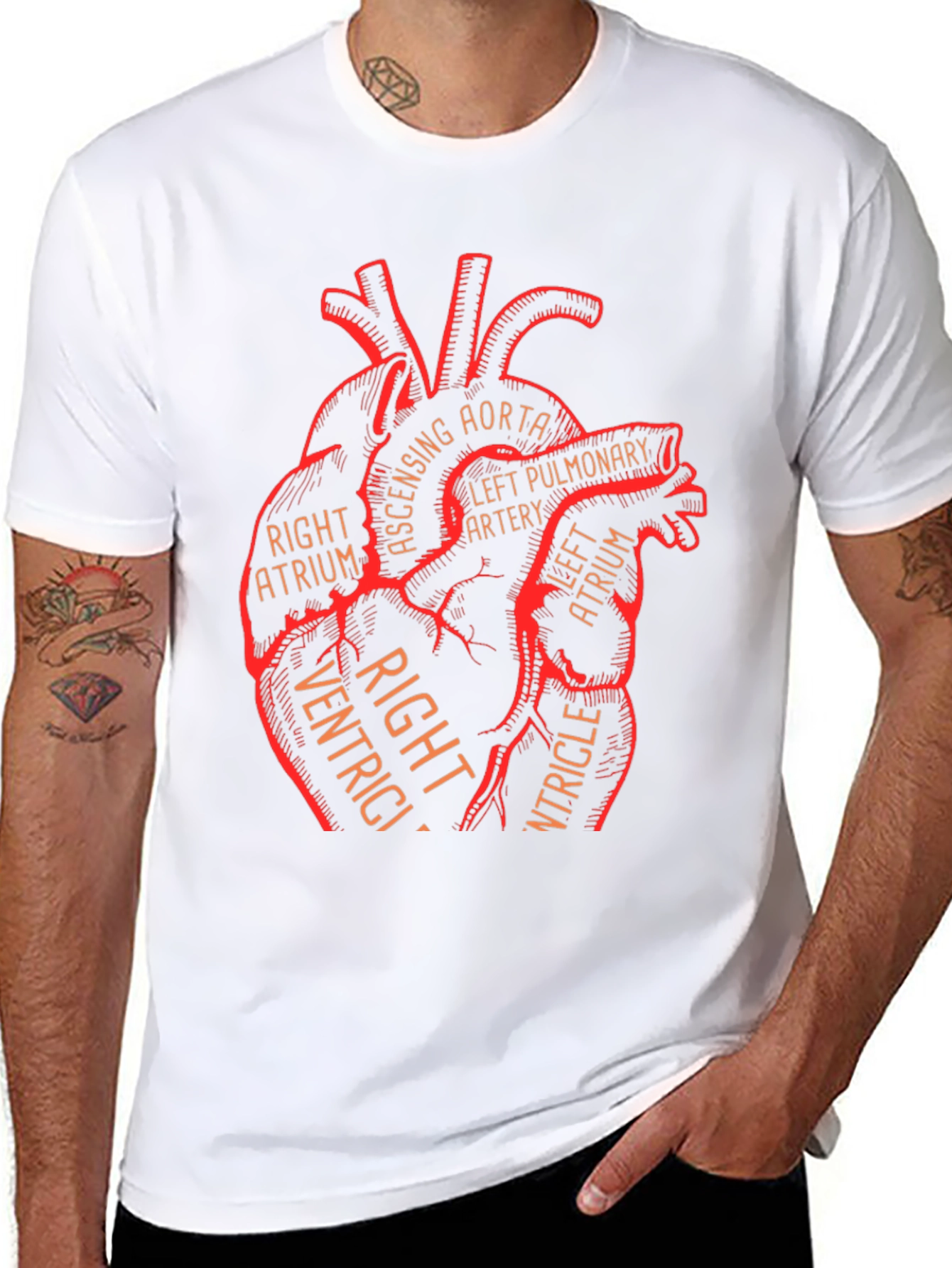Anatomical Heart Graphic Tee - Medical Science T-Shirt