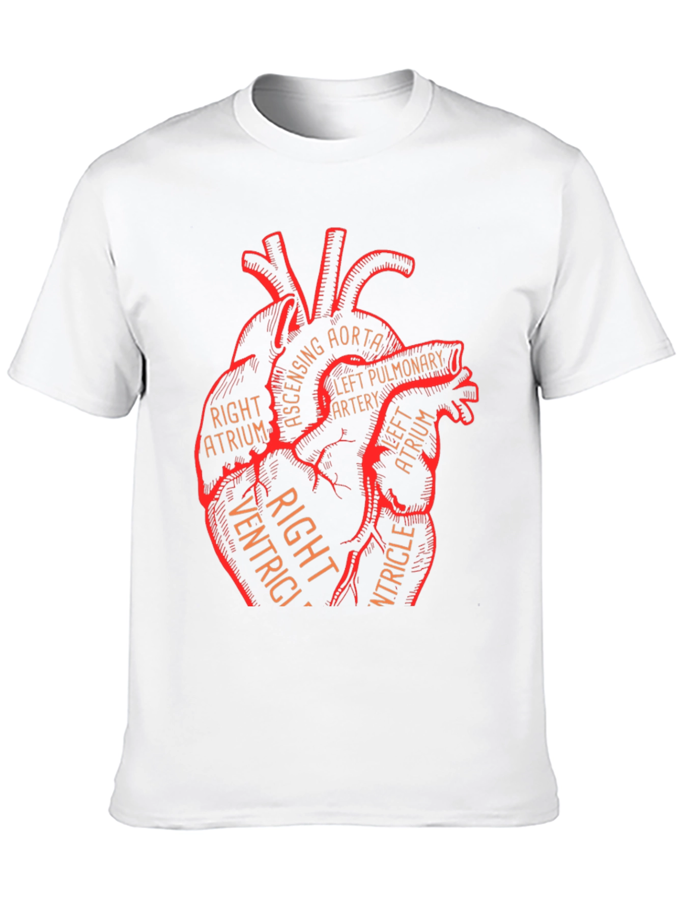 Anatomical Heart Graphic Tee - Medical Science T-Shirt