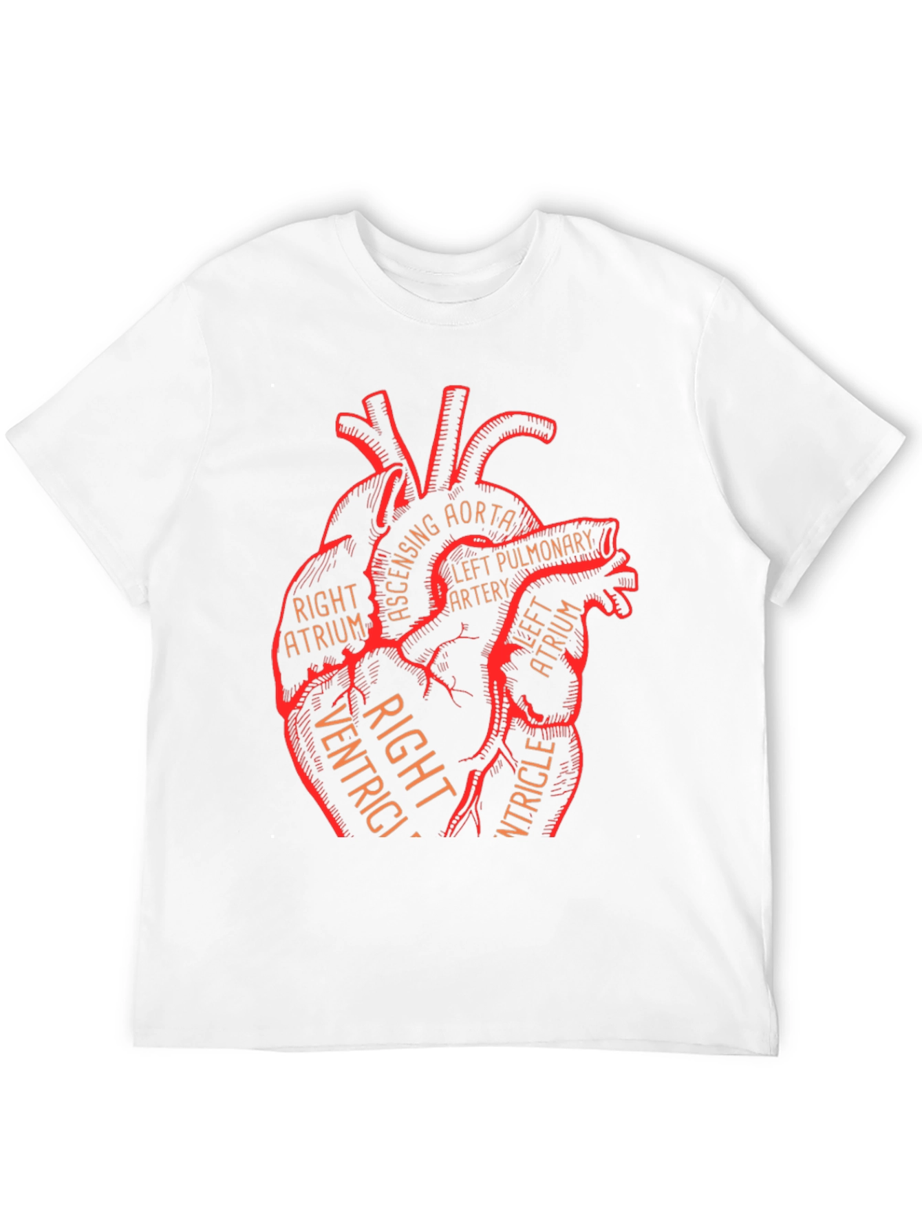 Anatomical Heart Graphic Tee - Medical Science T-Shirt