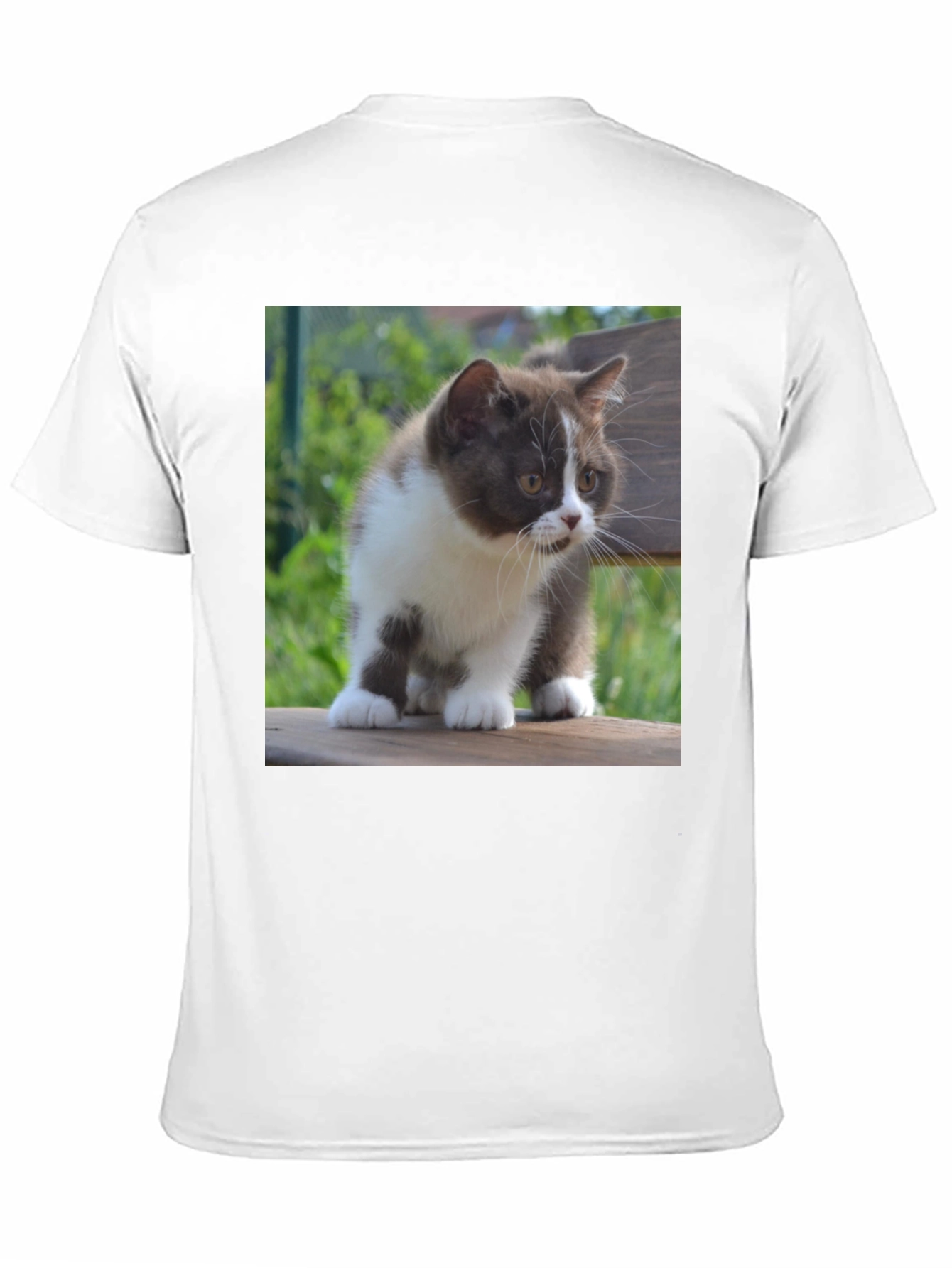 Cute Kitten T-Shirt - Black