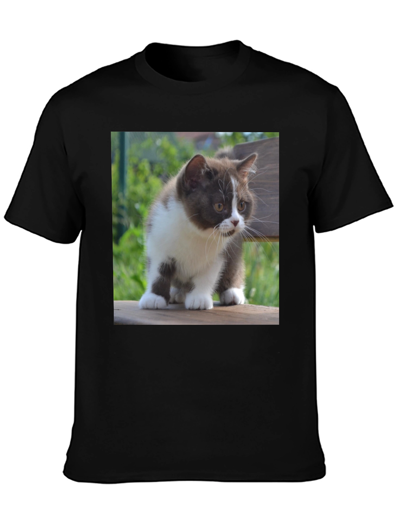 Cute Kitten T-Shirt - Black