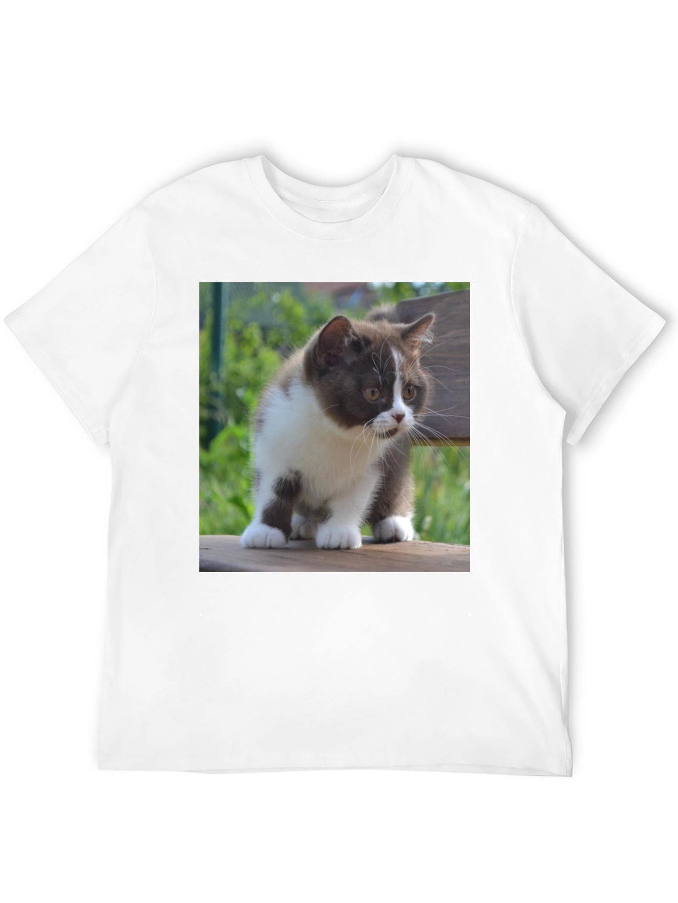 Cute Kitten T-Shirt - Black