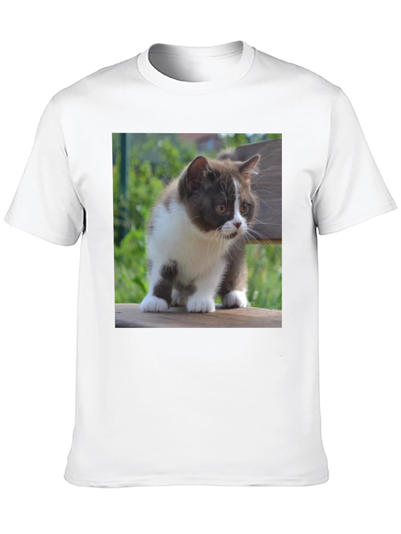 Cute Kitten T-Shirt - Black