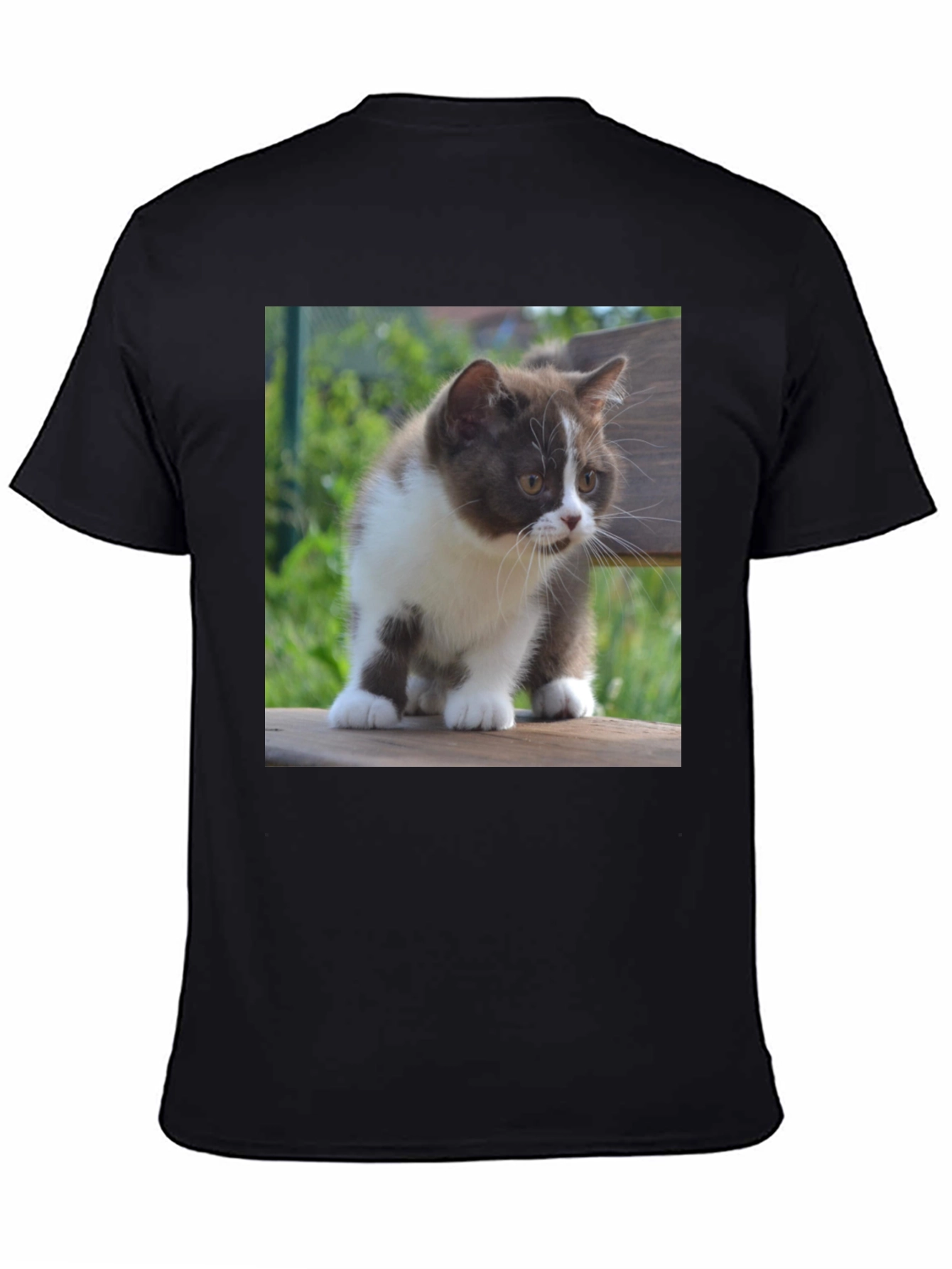 Cute Kitten T-Shirt - Black