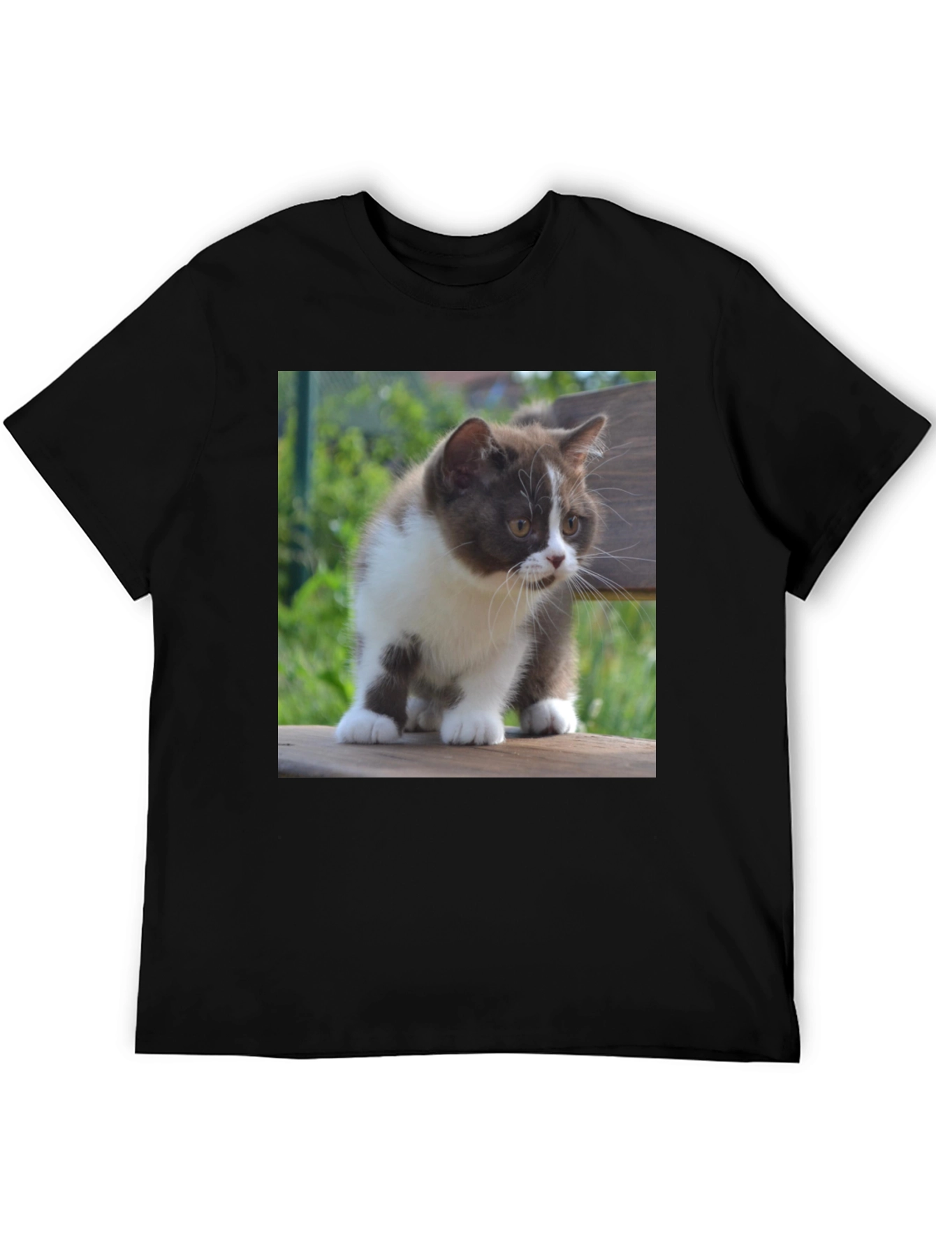 Cute Kitten T-Shirt - Black