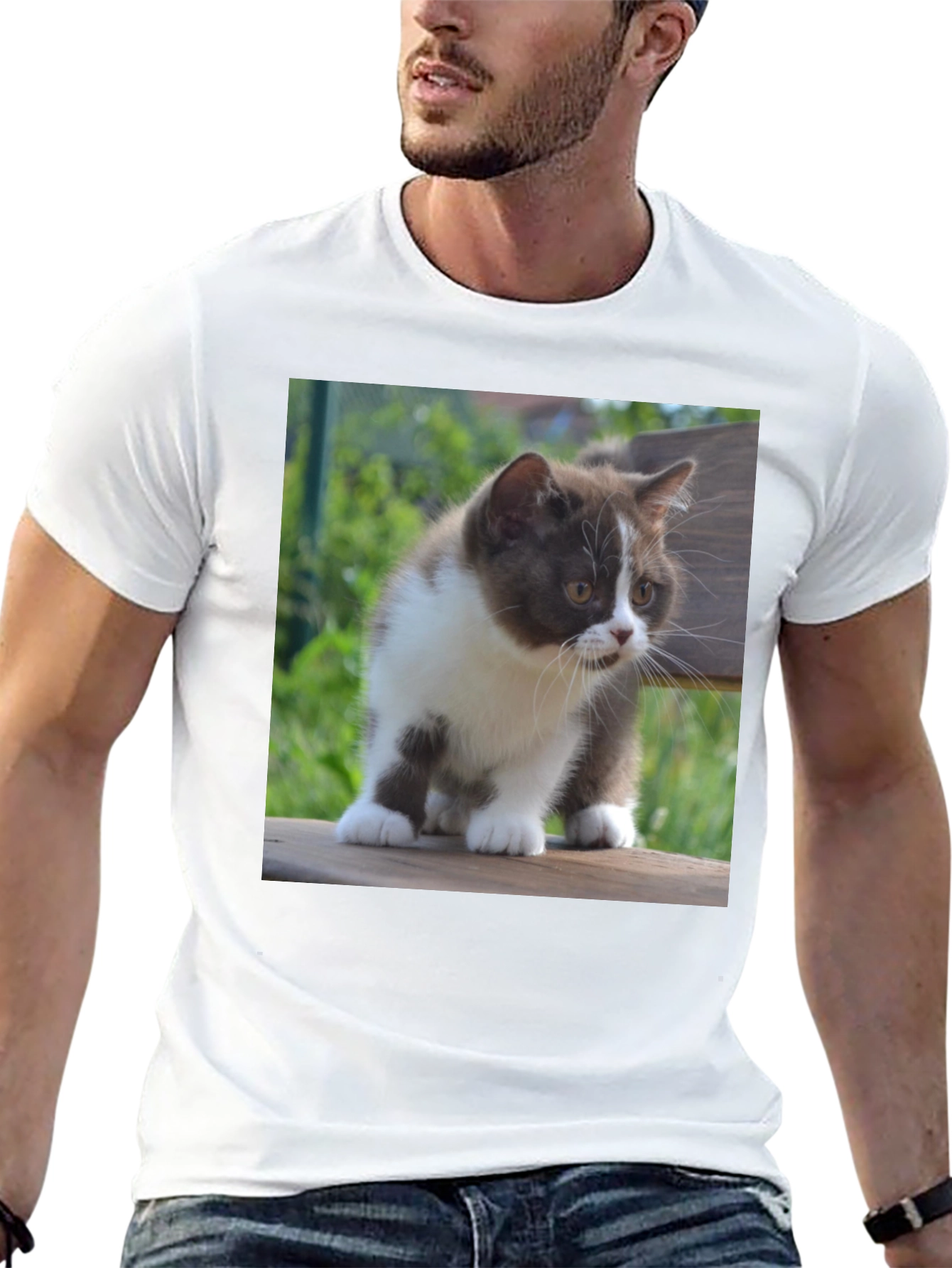 Cute Kitten T-Shirt - Black