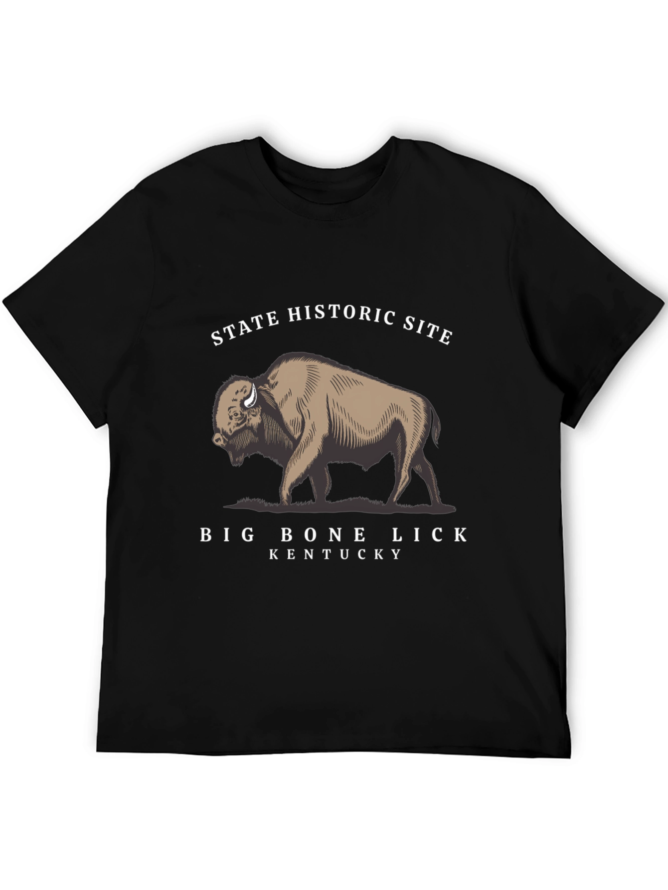 Big Bone Lick Kentucky Bison T-Shirt