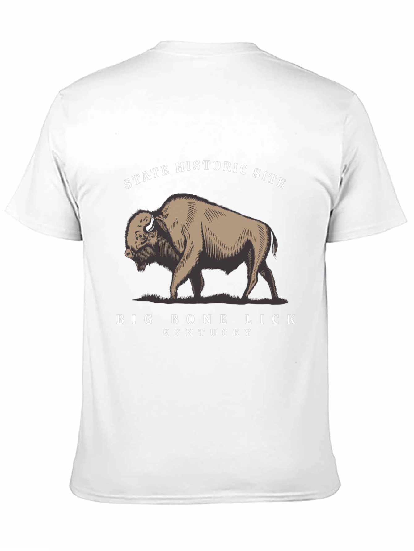 Big Bone Lick Kentucky Bison T-Shirt