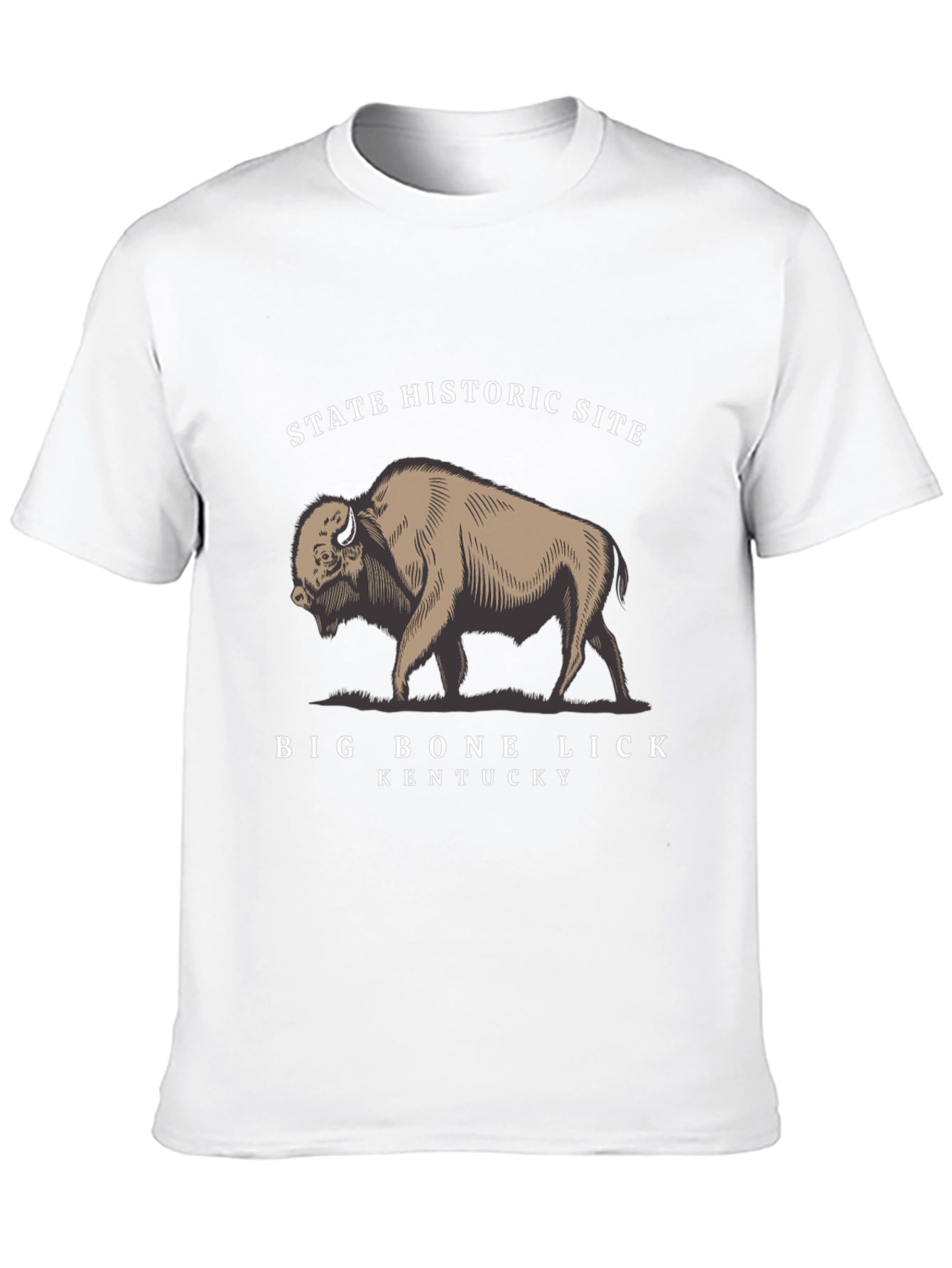 Big Bone Lick Kentucky Bison T-Shirt