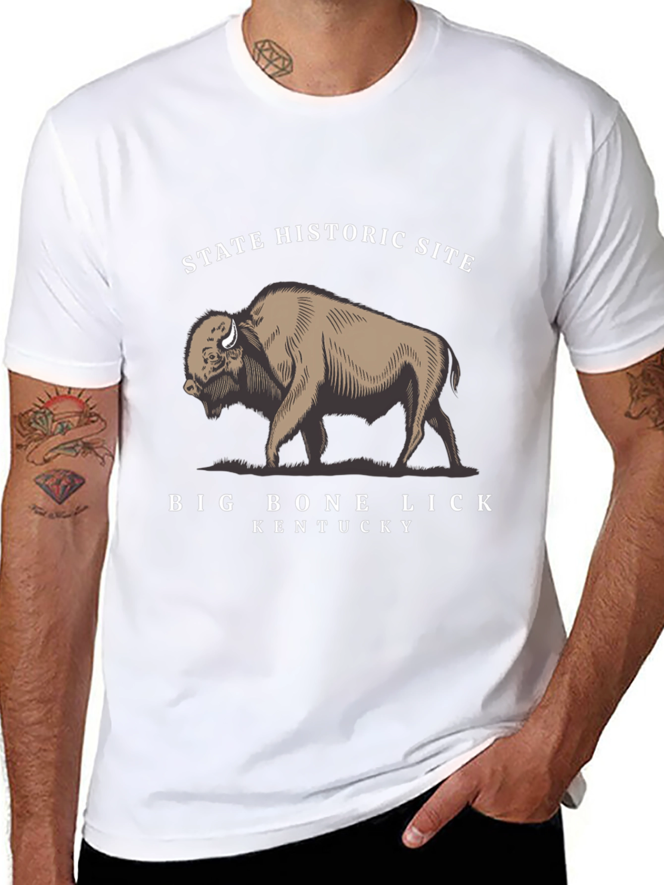 Big Bone Lick Kentucky Bison T-Shirt