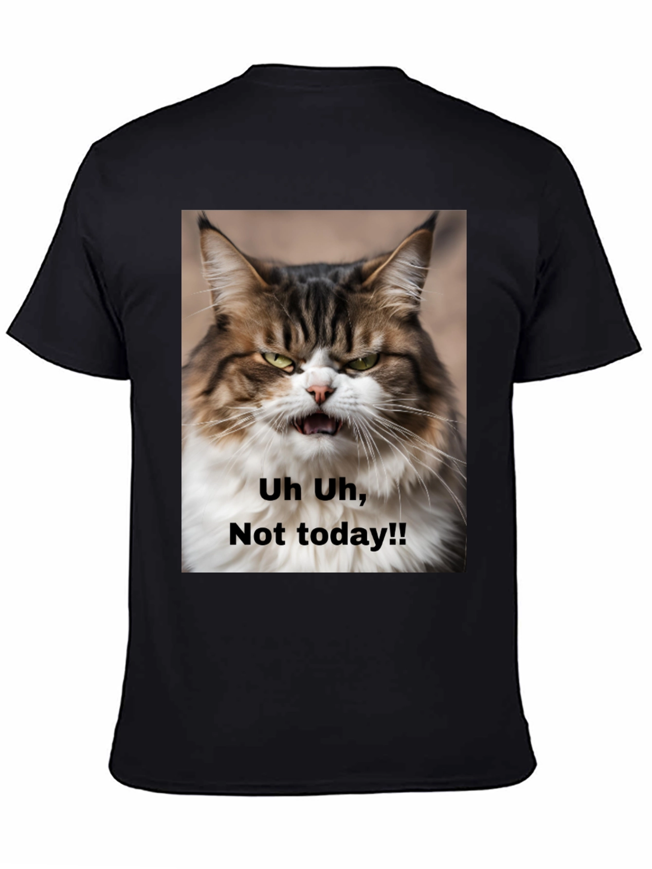 Grumpy Cat T-Shirt - Not Today! Unisex Black Tee