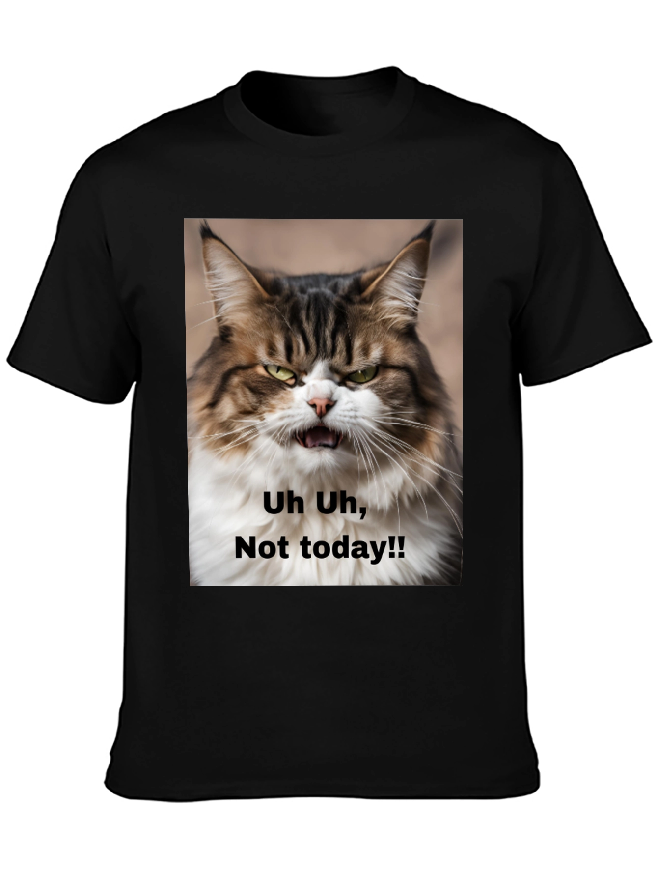 Grumpy Cat T-Shirt - Not Today! Unisex Black Tee