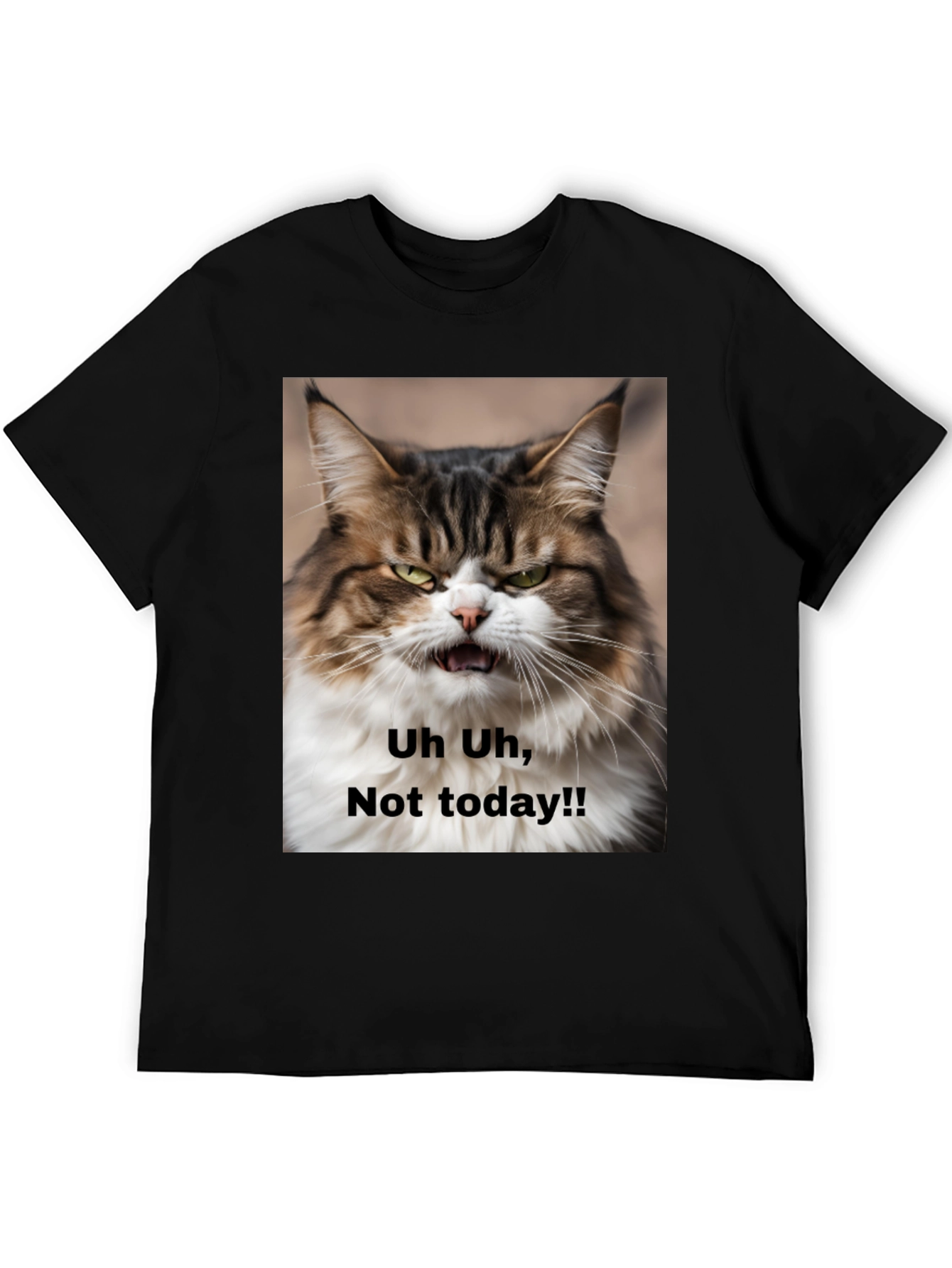 Grumpy Cat T-Shirt - Not Today! Unisex Black Tee