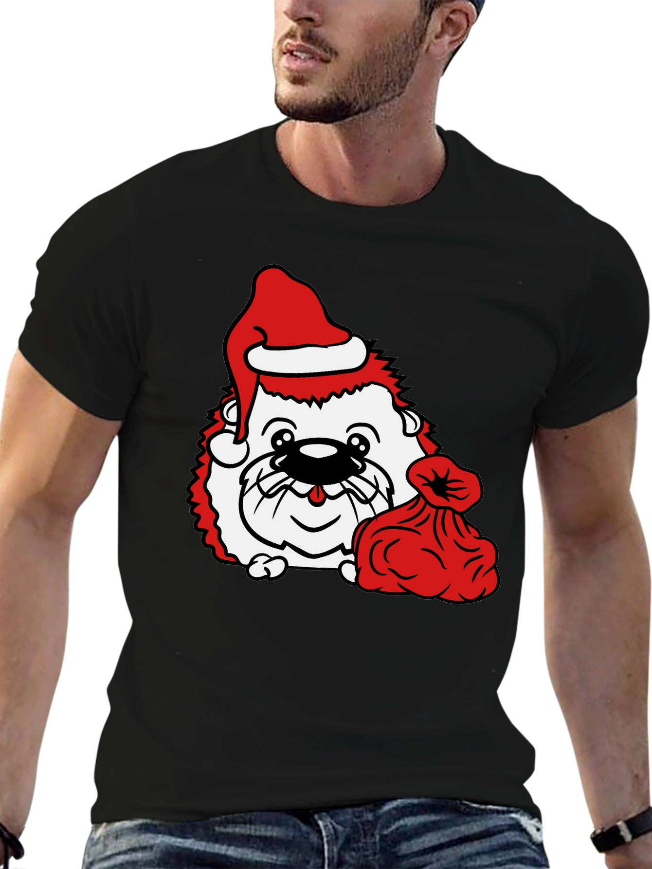 Festive Hedgehog T-Shirt