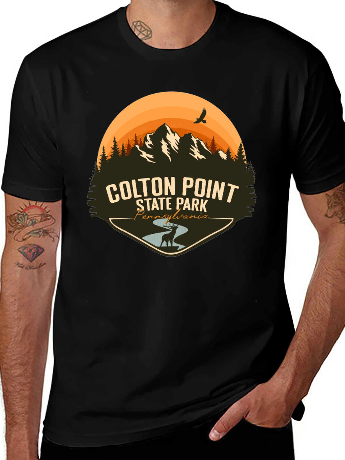 Colton Point State Park T-Shirt - Pennsylvania Souvenir Tee