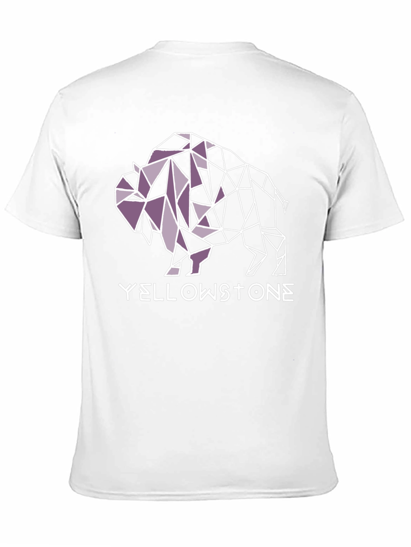 Yellowstone Buffalo Geometric Graphic Tee - Black