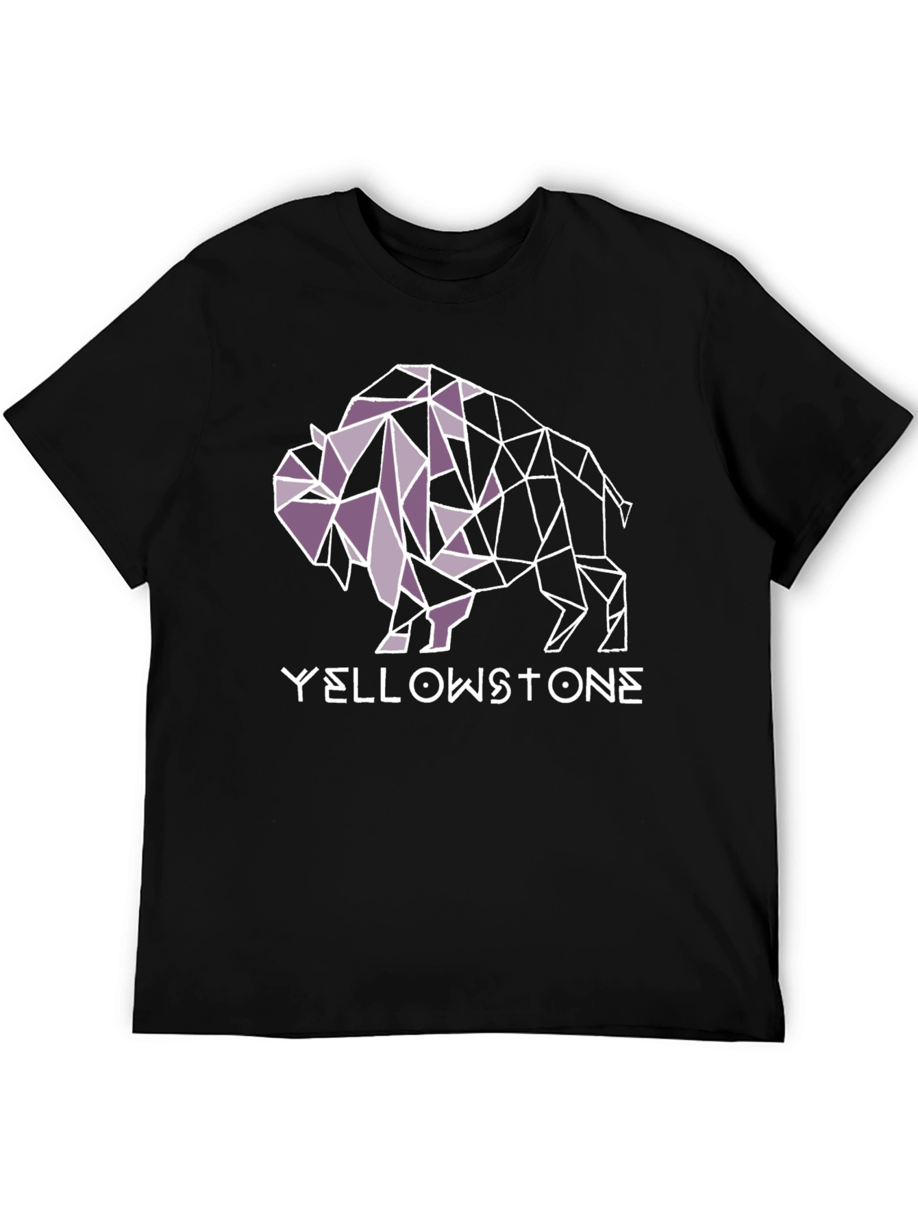 Yellowstone Buffalo Geometric Graphic Tee - Black