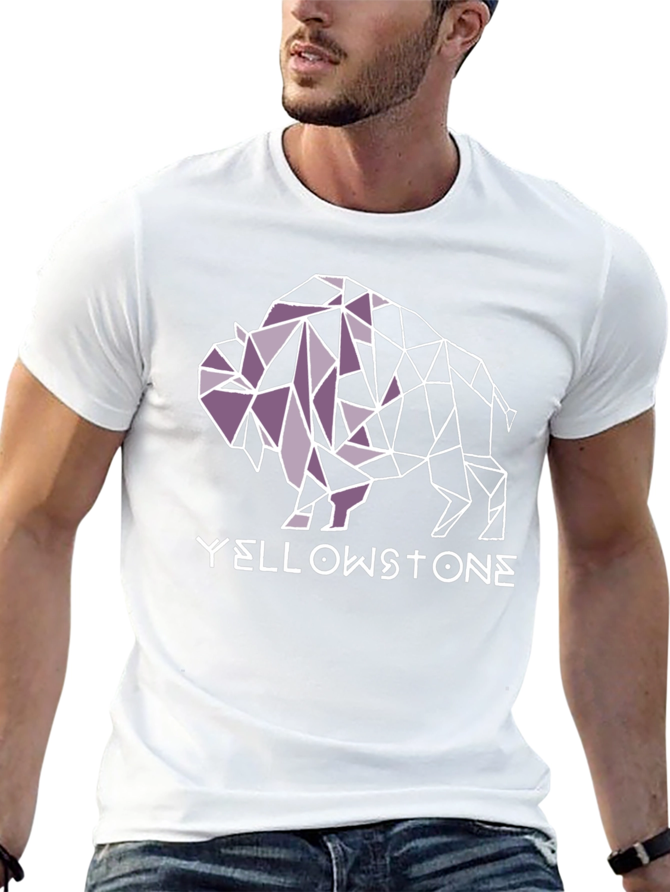 Yellowstone Buffalo Geometric Graphic Tee - Black
