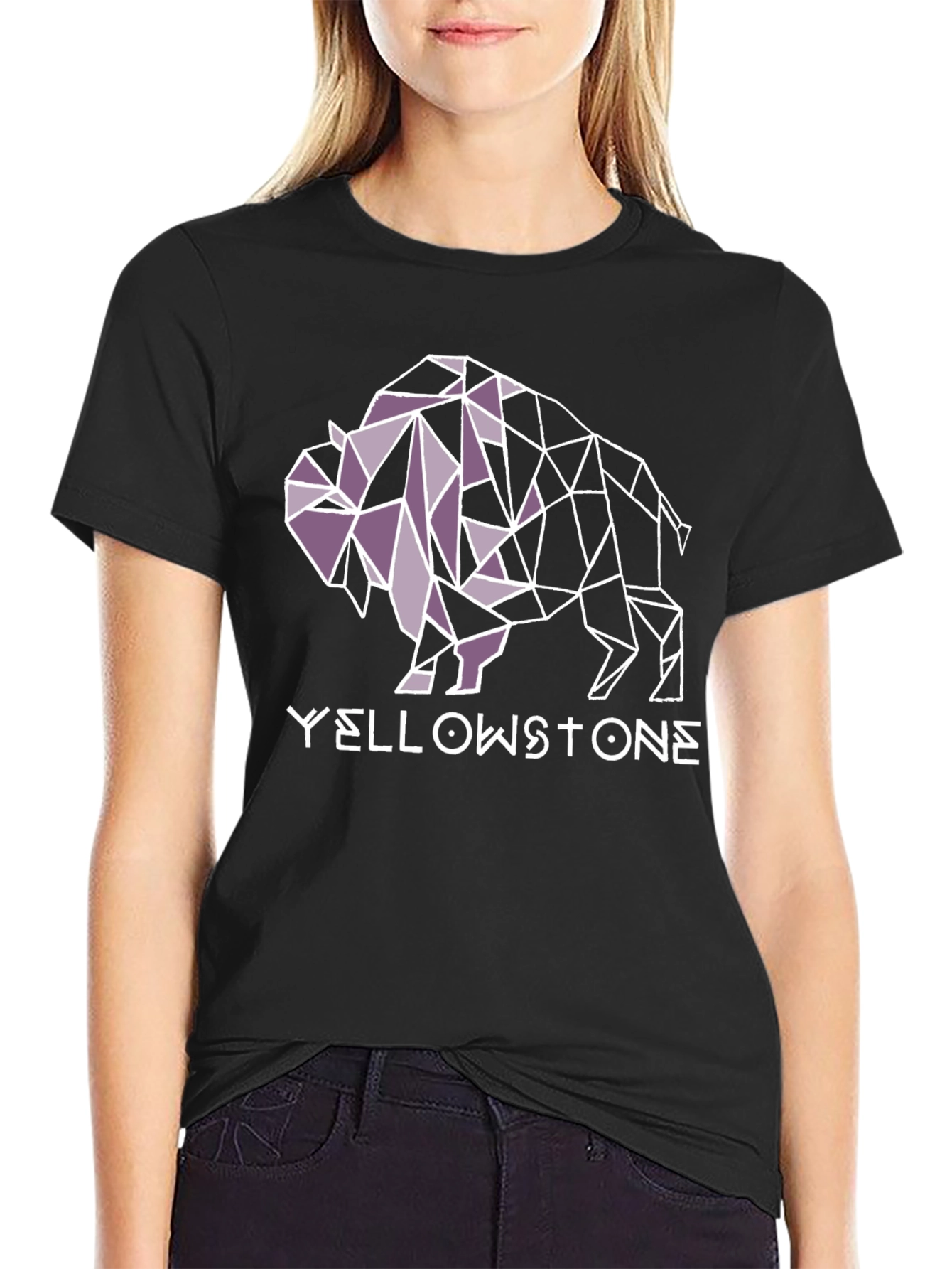Yellowstone Buffalo Geometric Graphic Tee - Black