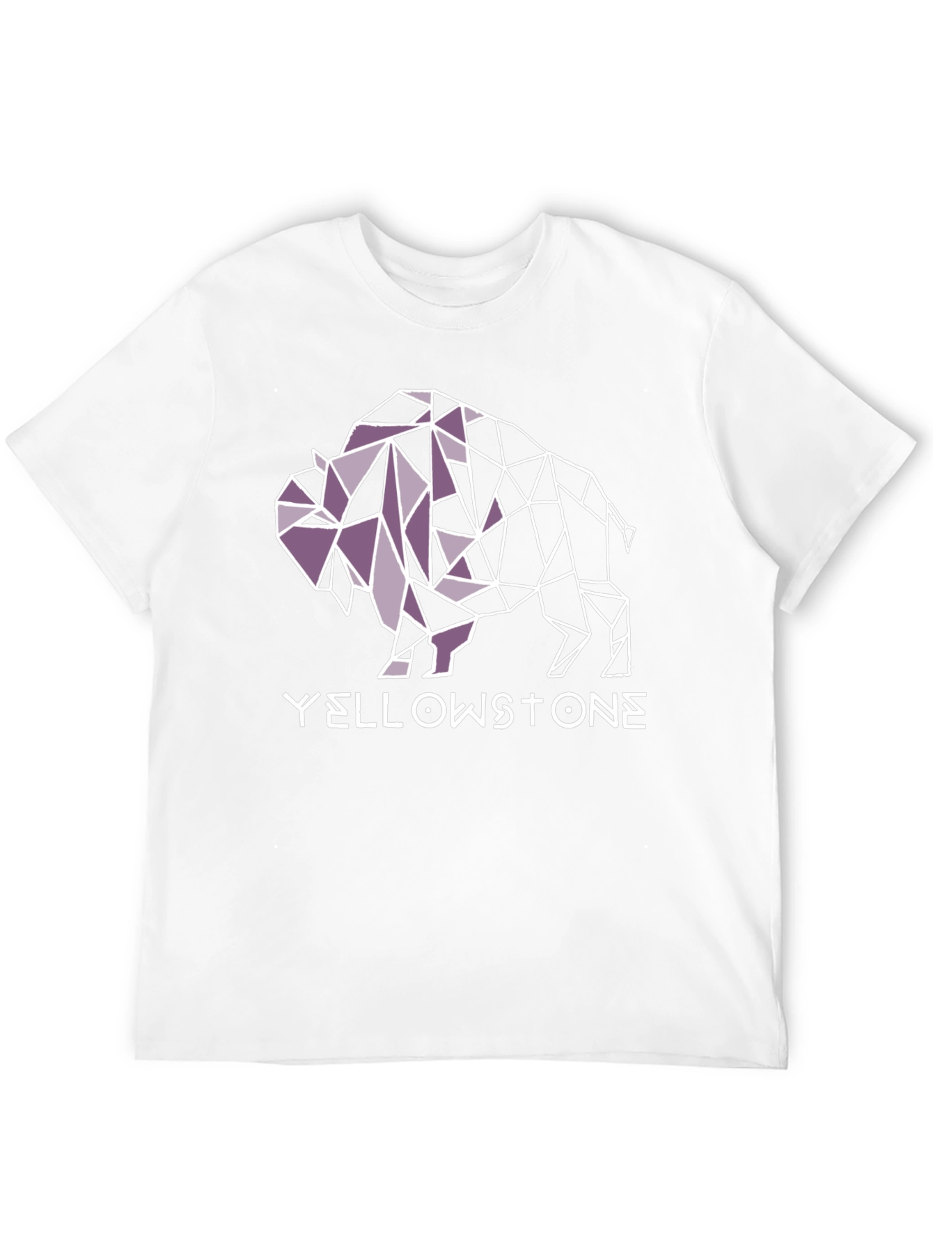 Yellowstone Buffalo Geometric Graphic Tee - Black
