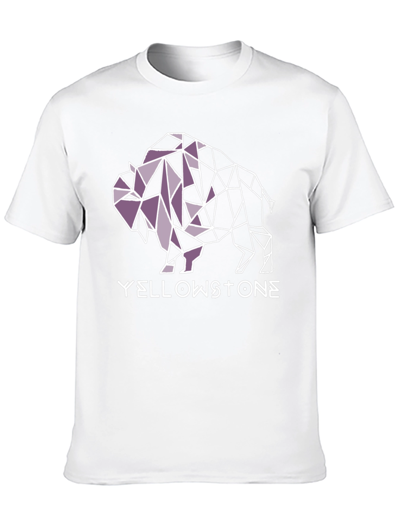Yellowstone Buffalo Geometric Graphic Tee - Black