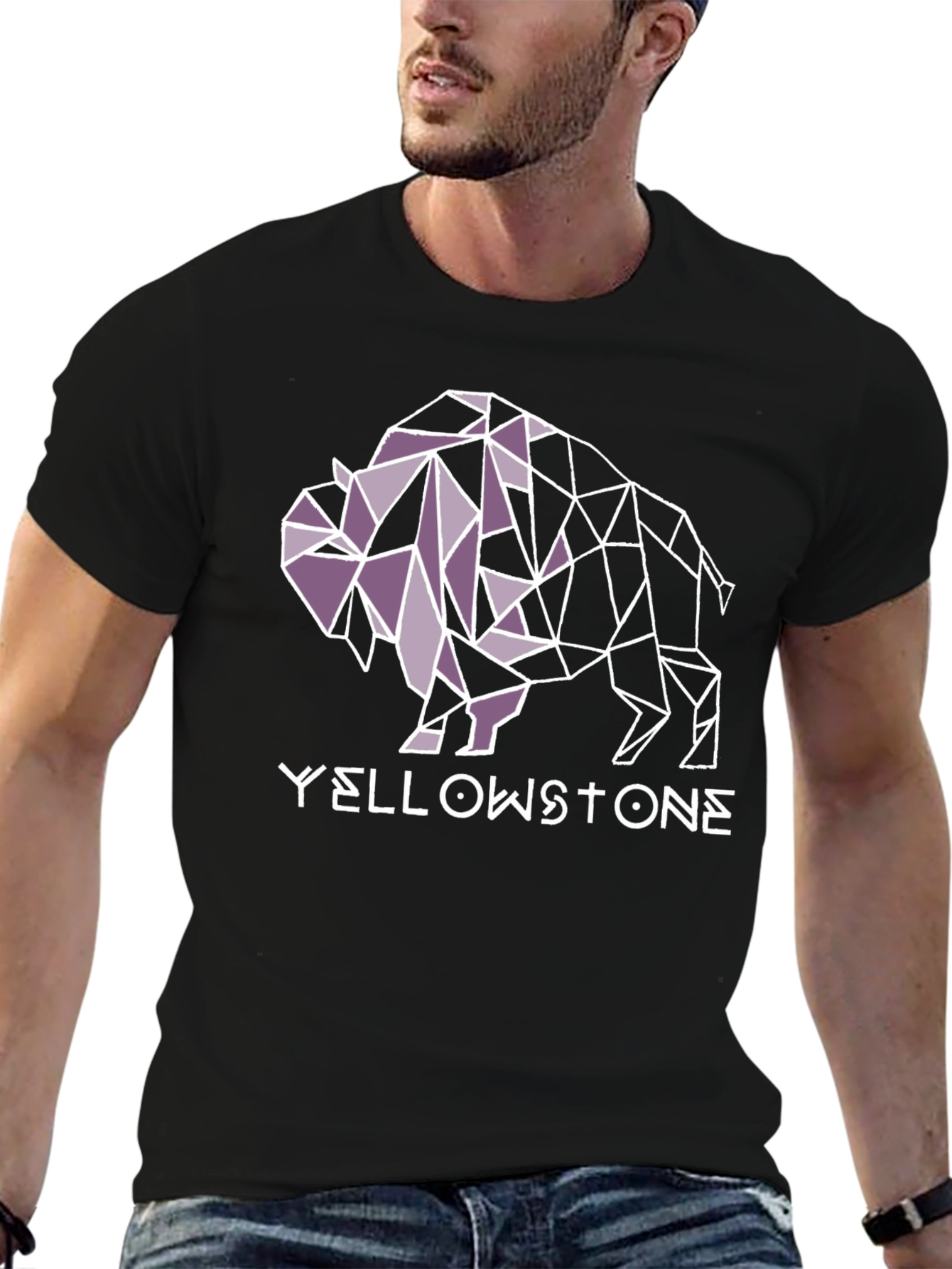 Yellowstone Buffalo Geometric Graphic Tee - Black