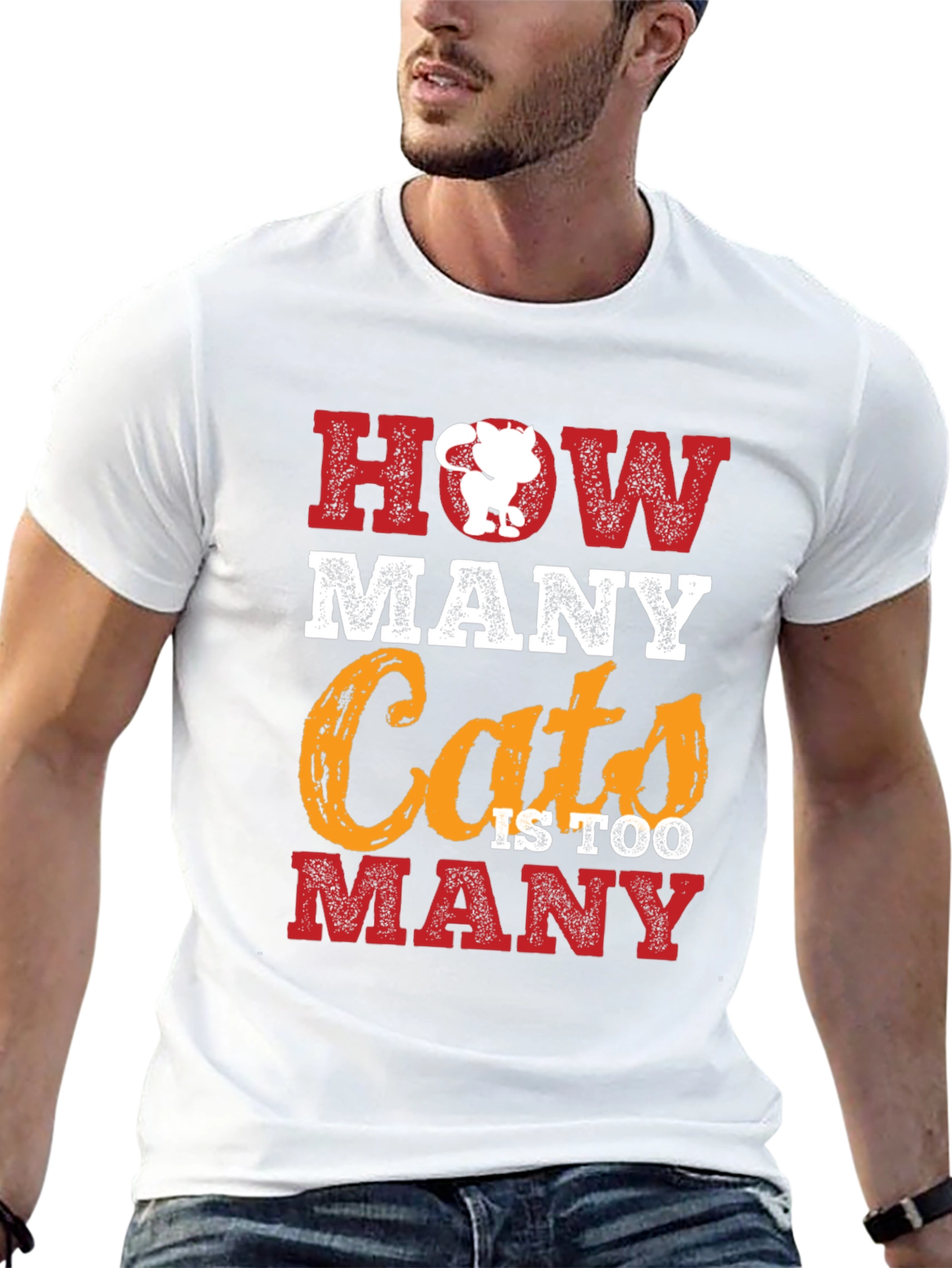 How Many Cats T-Shirt