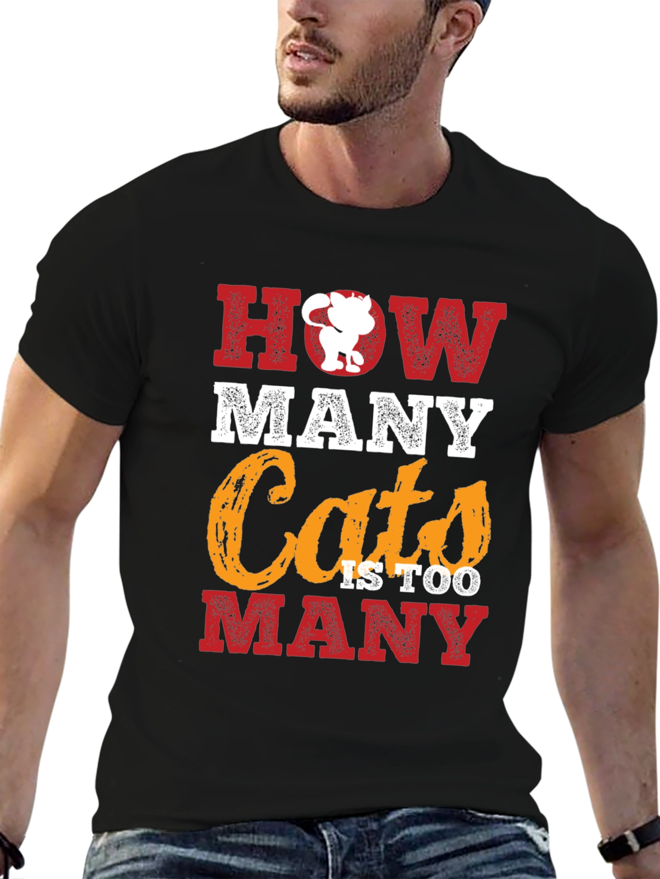 How Many Cats T-Shirt