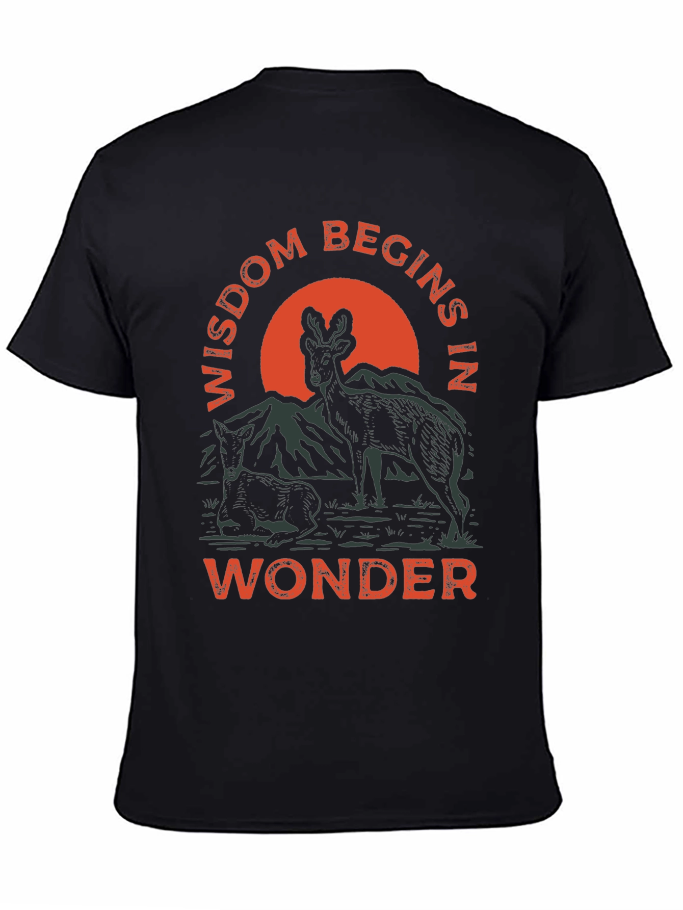 Wisdom Begins in Wonder Graphic Tee