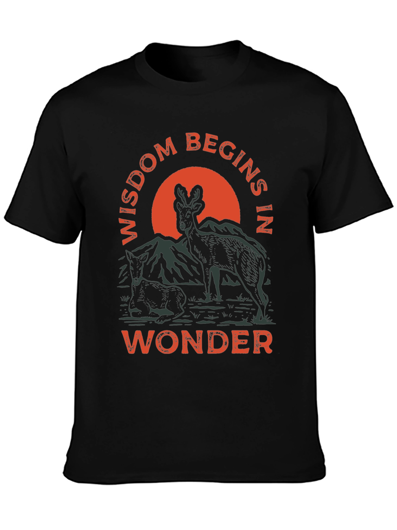 Wisdom Begins in Wonder Graphic Tee