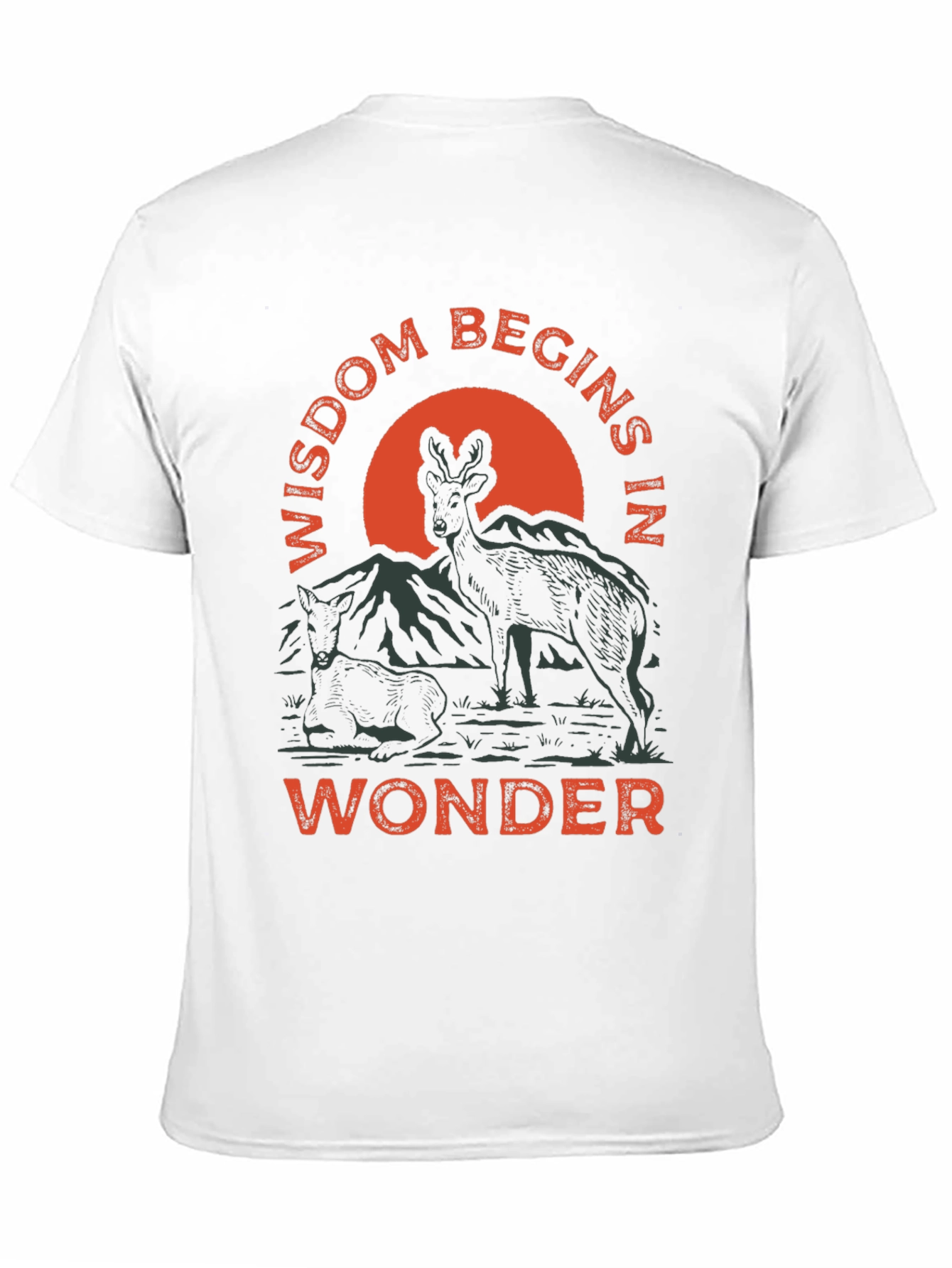 Wisdom Begins in Wonder Graphic Tee