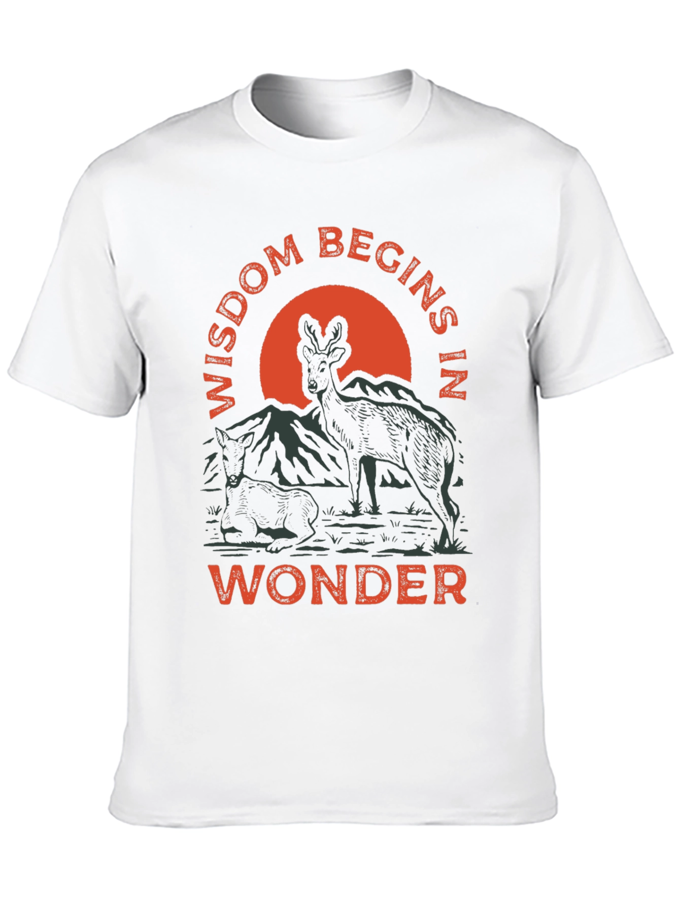 Wisdom Begins in Wonder Graphic Tee